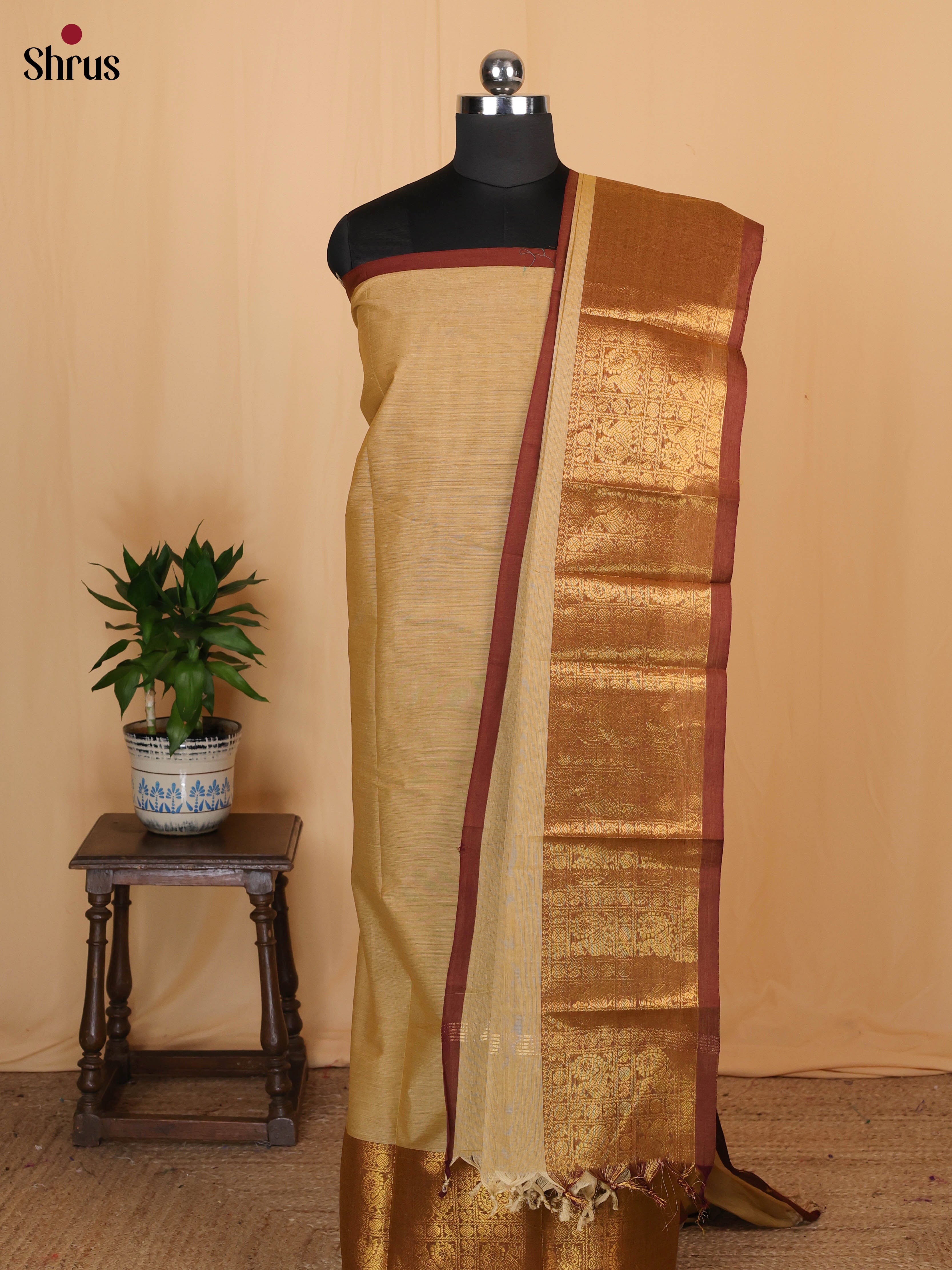 Beige & Brown - chettinad top & dupatta combo