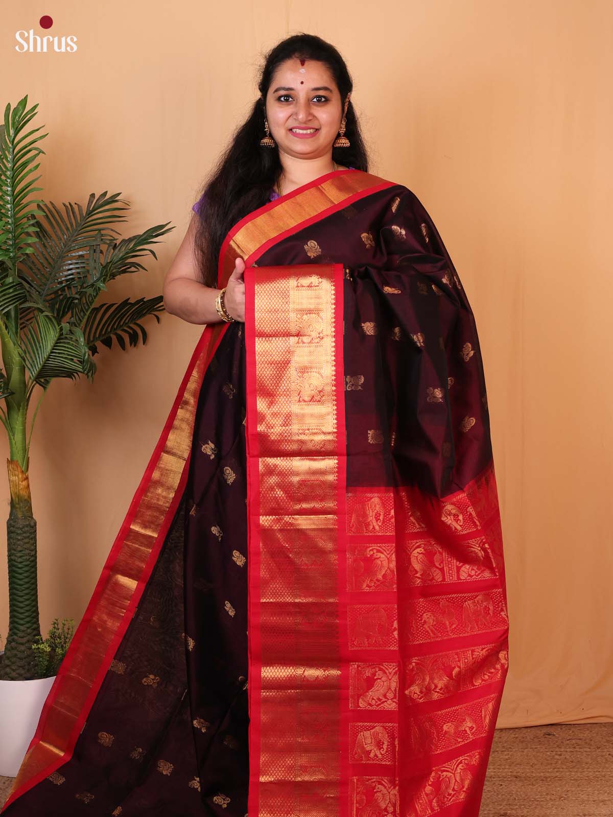 Coffee Brown & Red - Silk Cotton Saree