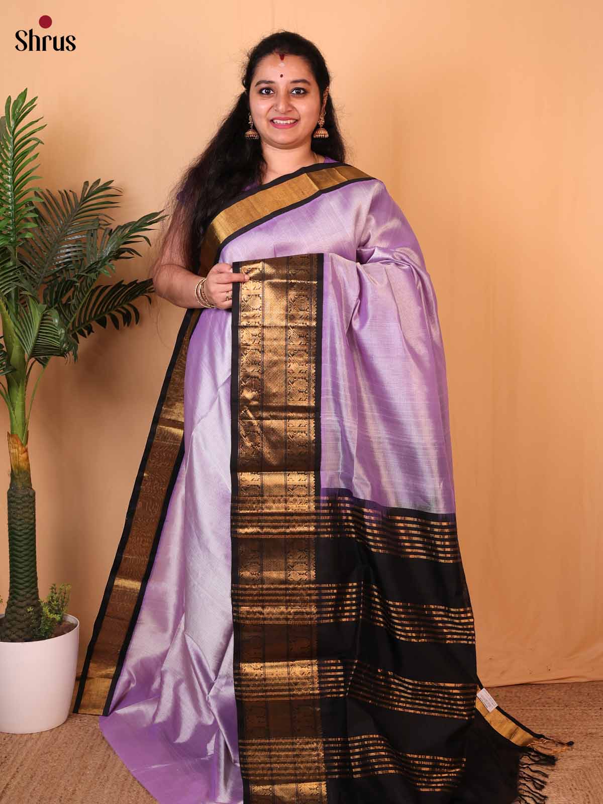 Lavender &  Brown - Silk Cotton Saree