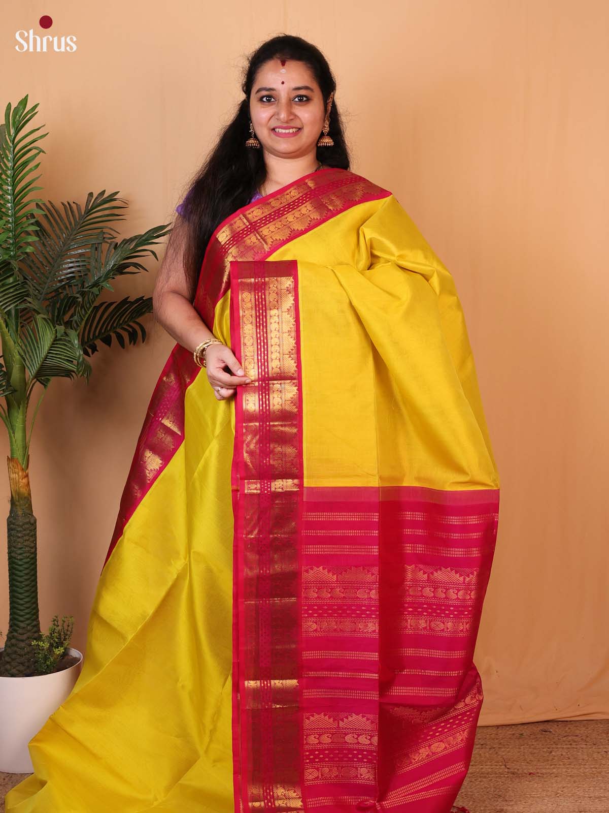 Mustardy Green & Maroon  - Silk Cotton Saree