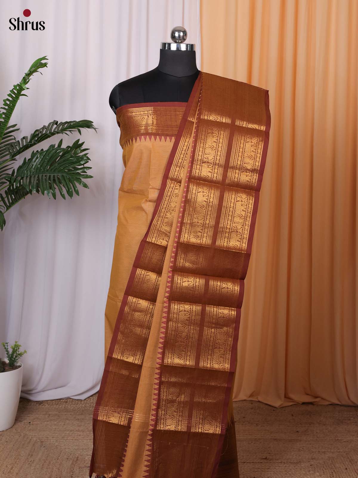 Lite & Dark Brown - chettinad top & dupatta combo