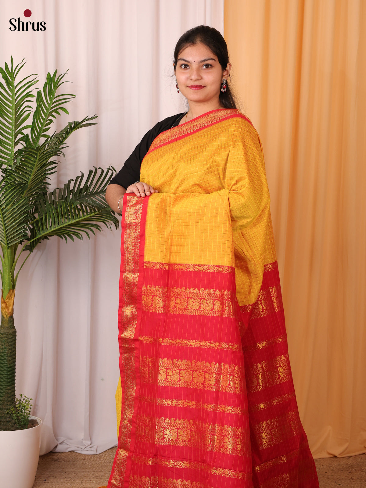 Mustard  & Red - Kalyani Cotton Saree