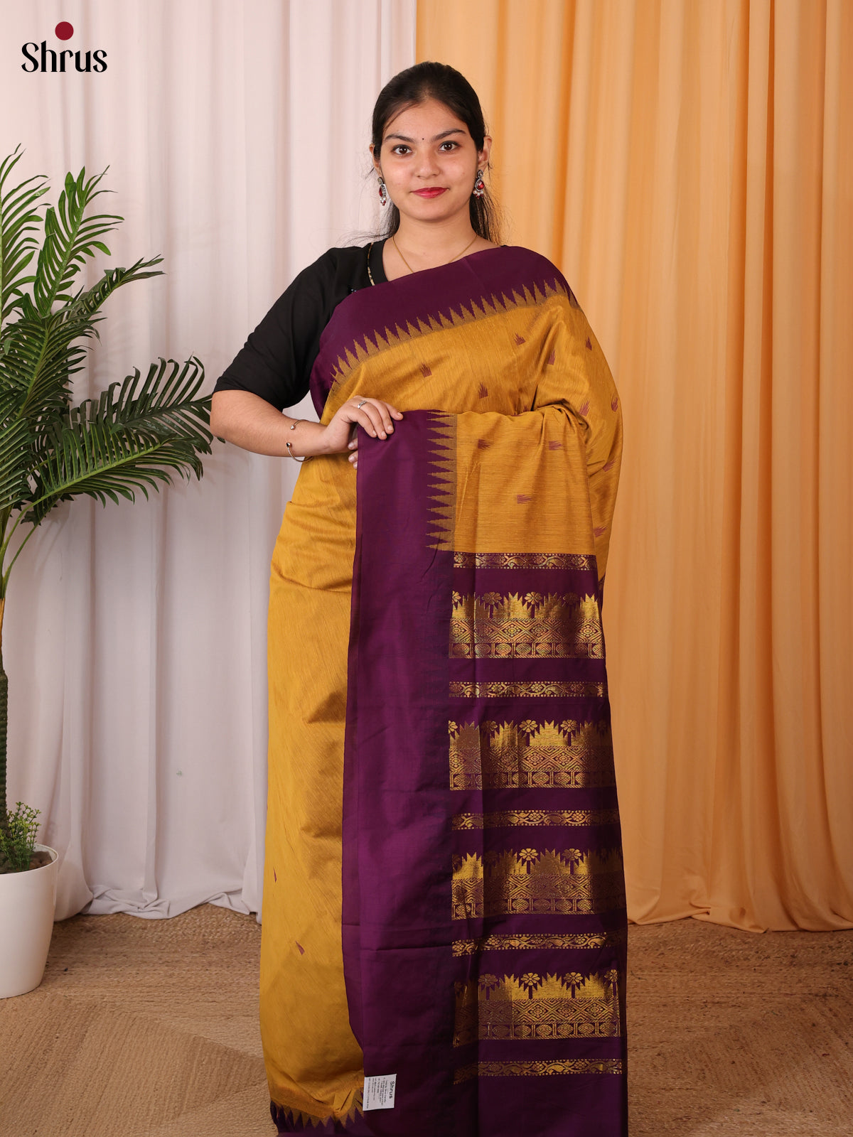 Mustard  & Violet - Kalyani Cotton Saree