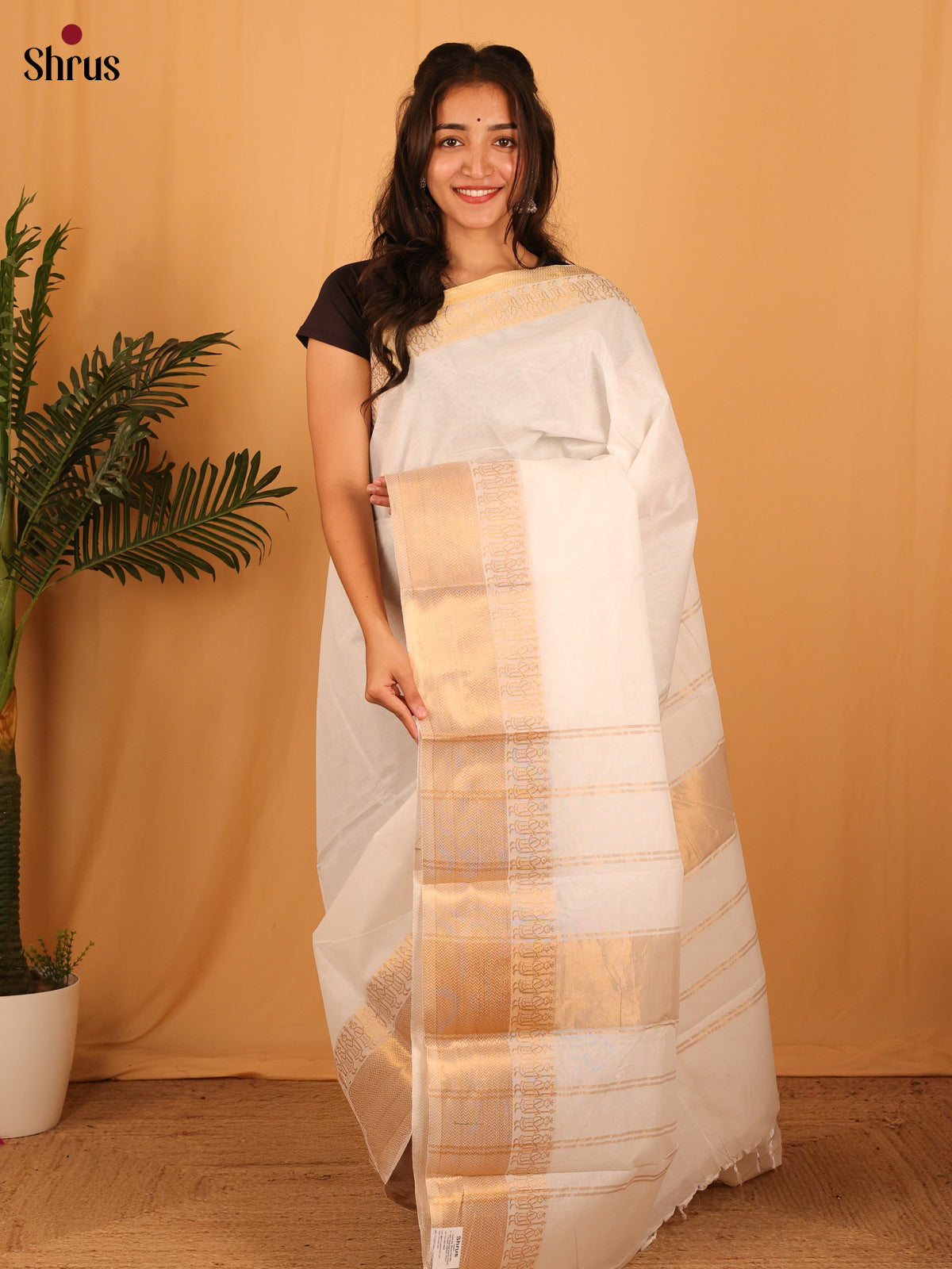 CLS21001 - Chettinad Cotton Saree