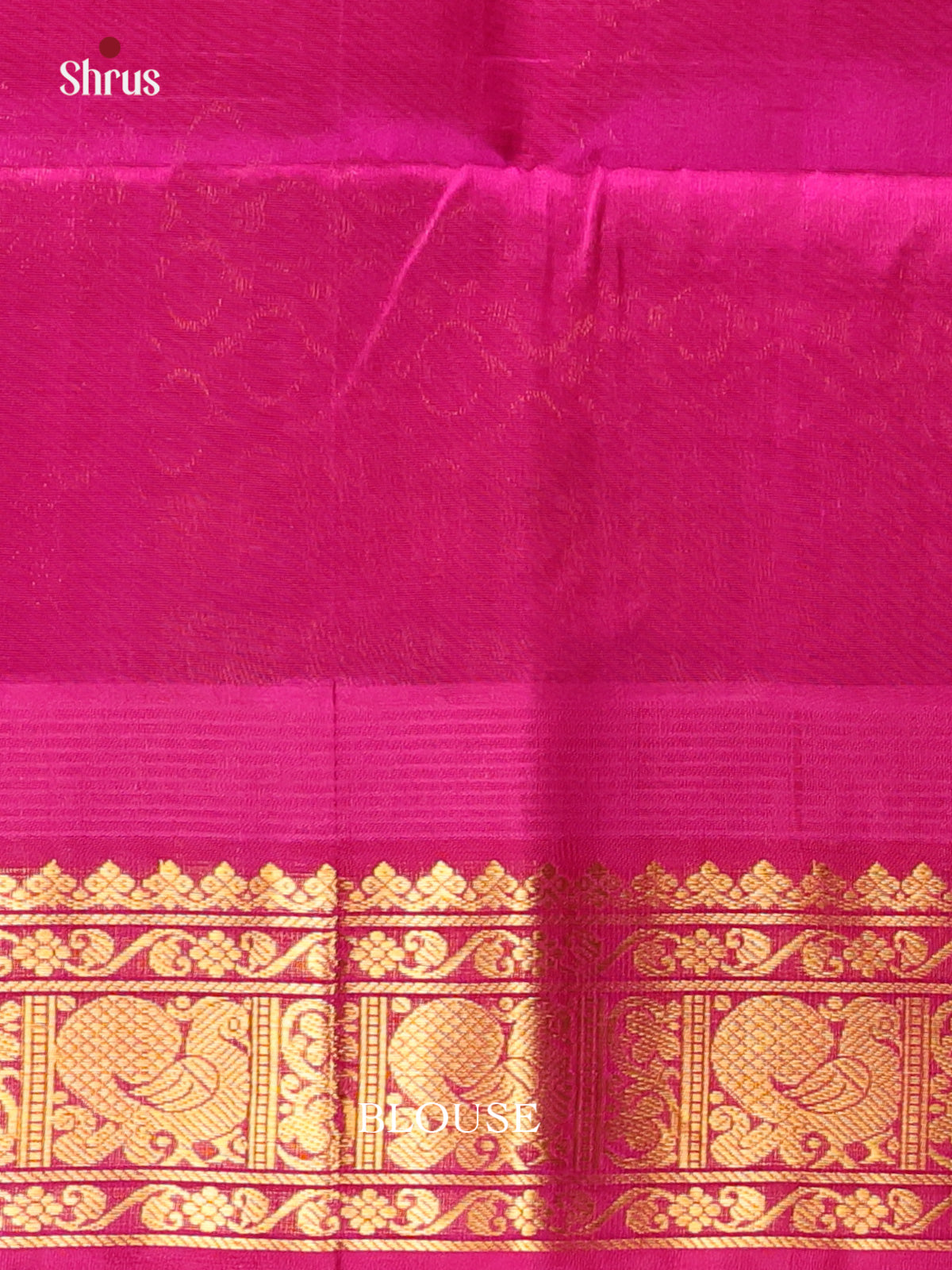 Pastel Green & Majenta - Silk Cotton Saree - Shop on Shrus.com