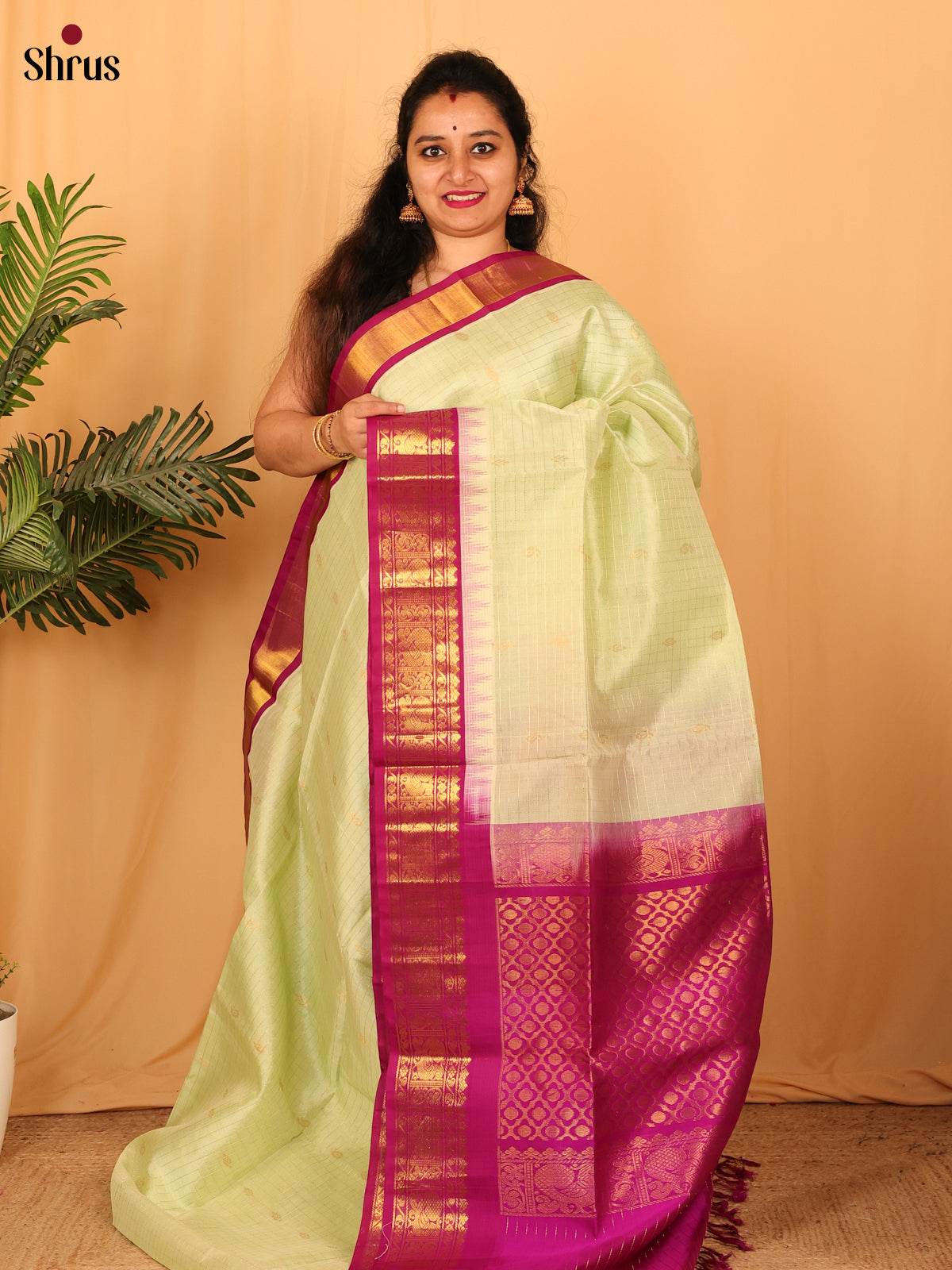 Pastel Green & Majenta - Silk Cotton Saree - Shop on Shrus.com