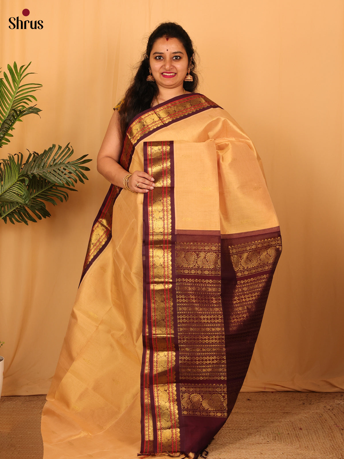 CLS23147 - Silk Cotton Saree - Shop on Shrus.com