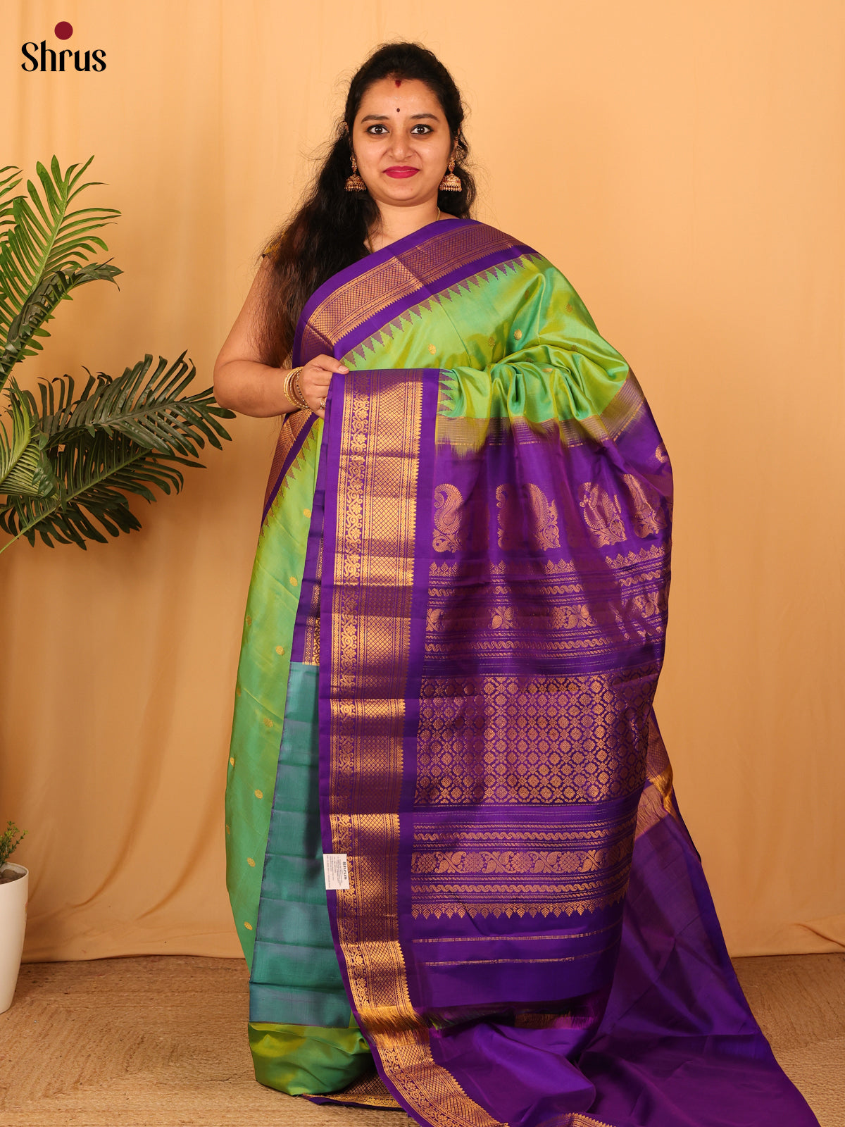 Double Shaded Green & Violet- Gadwal silk Saree