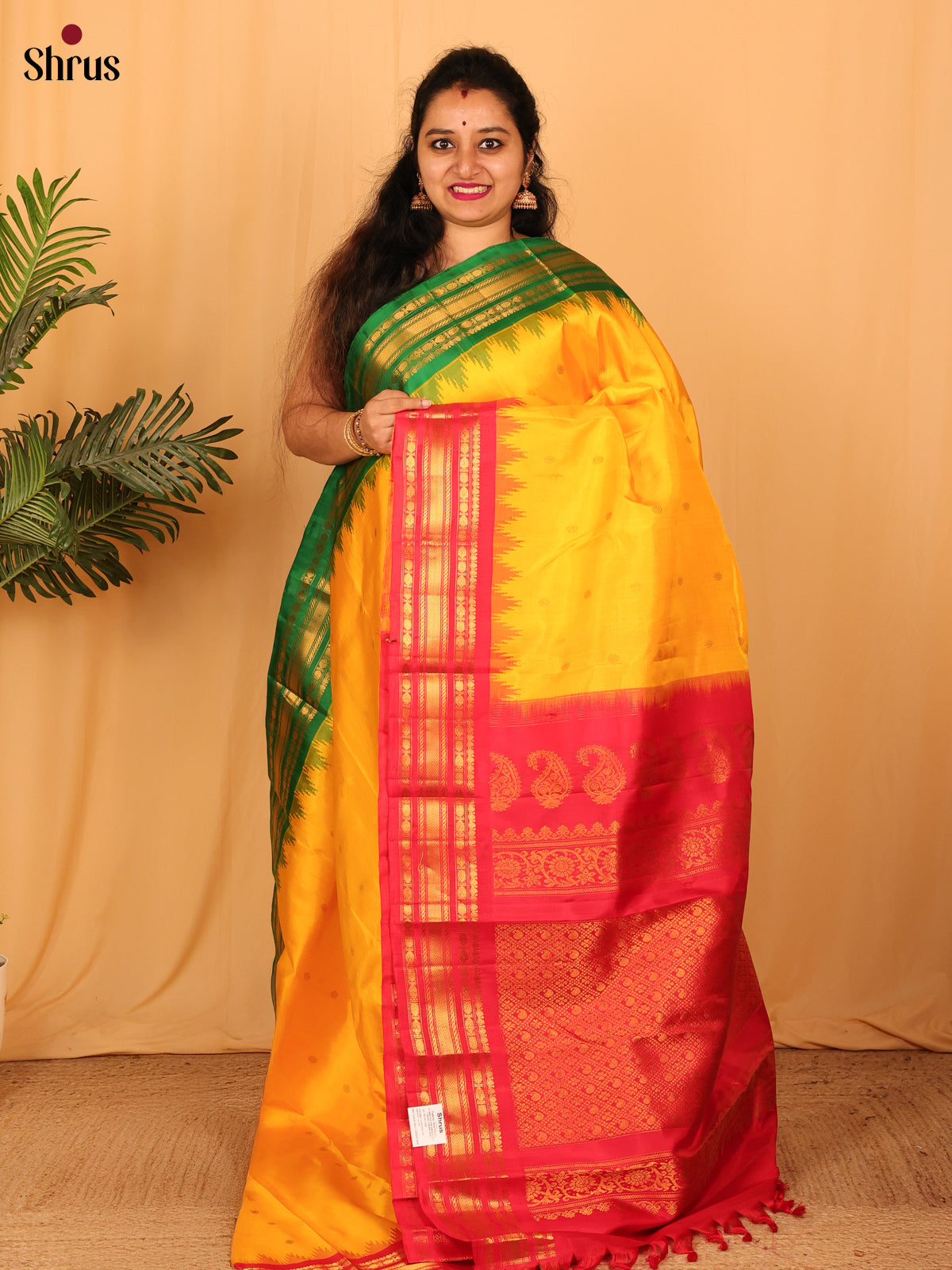 Yellow & Red - Gadwal silk Saree