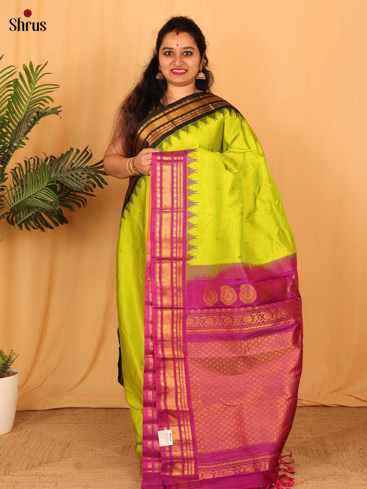 Parrot Green & Majenta - Gadwal silk Saree