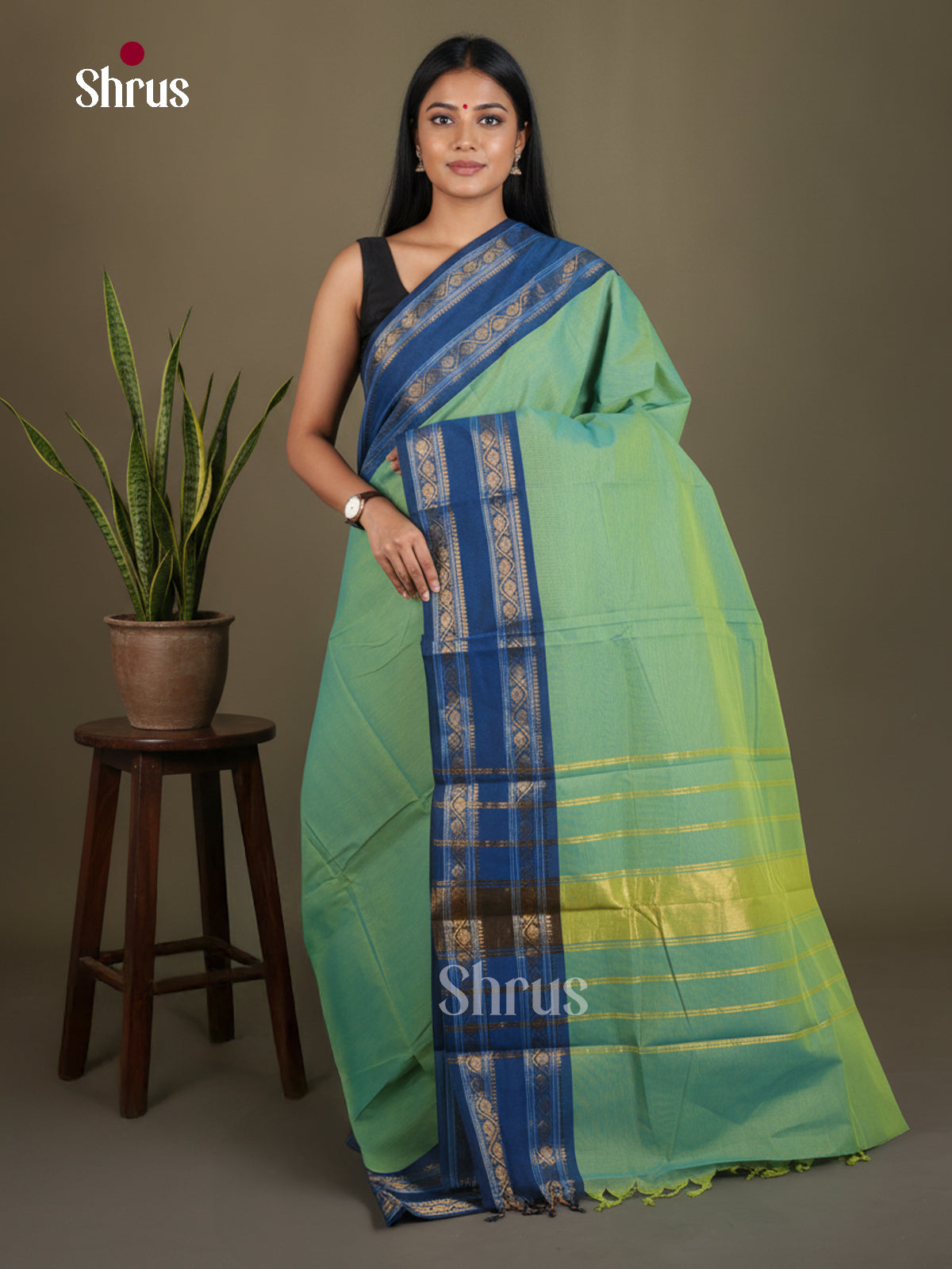 Chic Light Green Chettinad Cotton Saree With Blue Rettapet Zari Border & Traditional Pallu