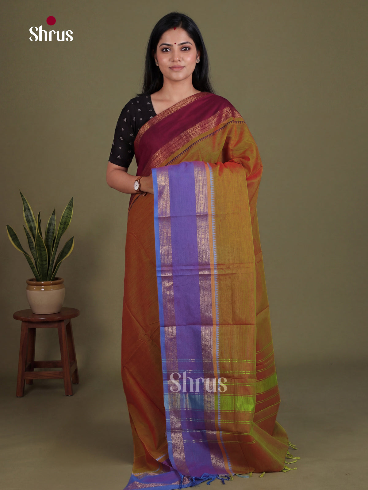 Chettinad Cotton Saree With Stripes, Ganga Jamuna Rettapet Zari Border & Pallu - Shop on Shrus.com