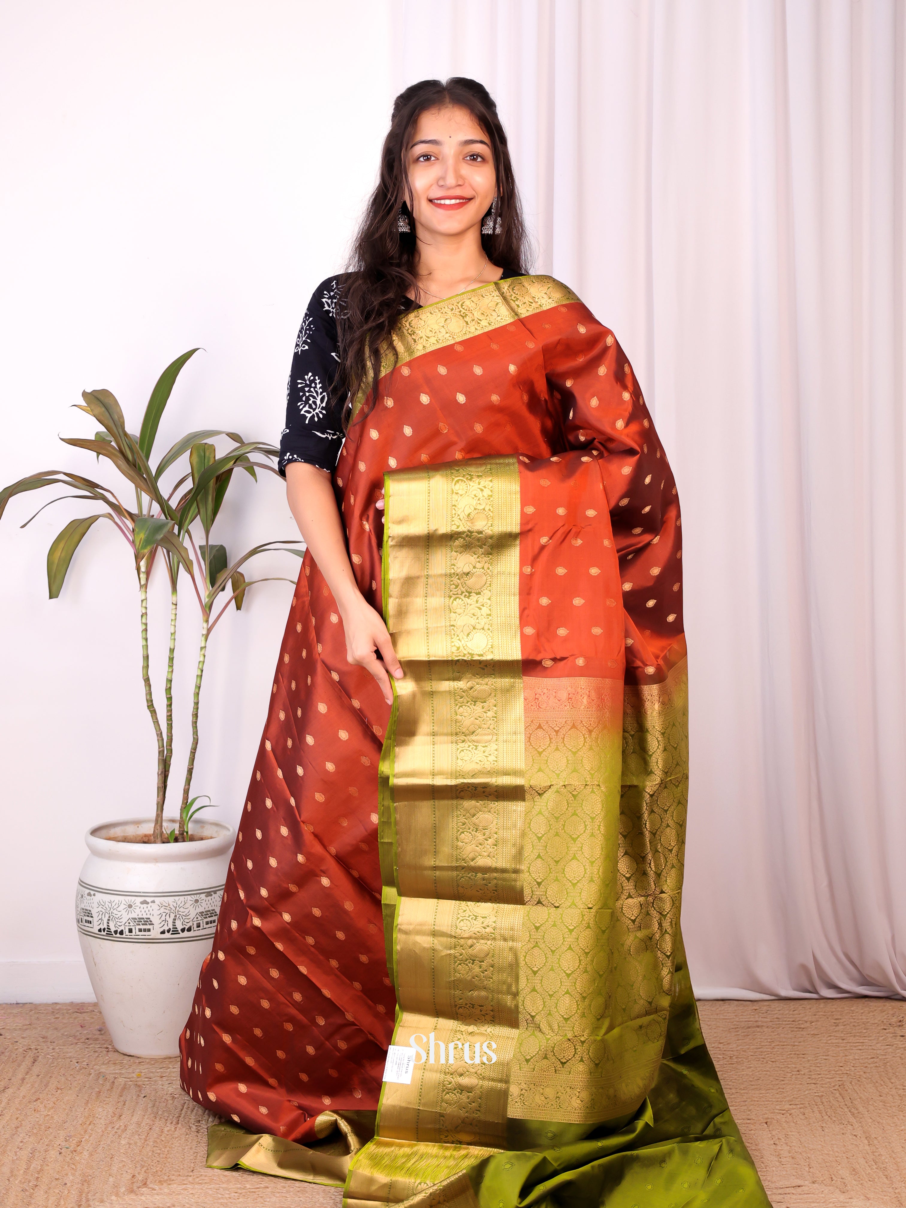 Brown & Green - Kanchipuram silk Saree