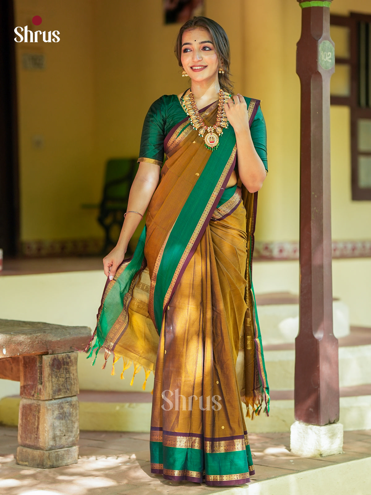 Classic Mehandi Green Chettinad Cotton Saree with Zari Buttas & Rettapet Zari Border
