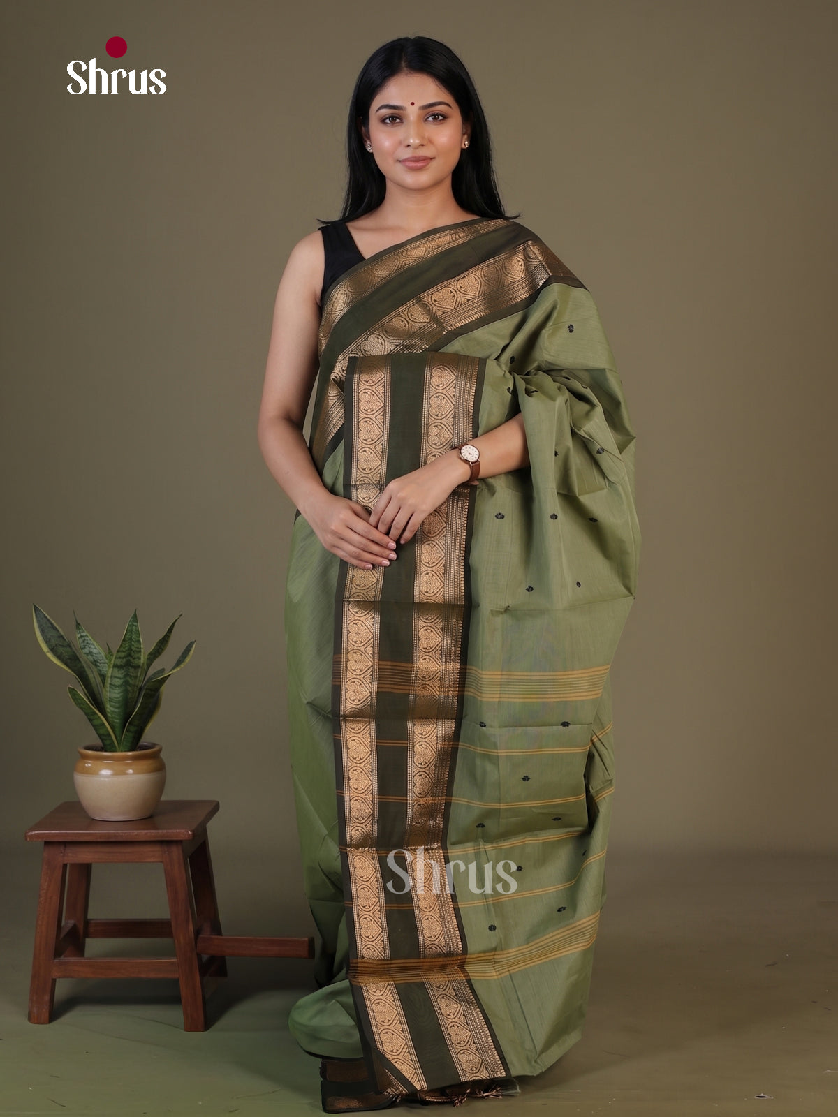 Classy Light Olive Chettinad Cotton Saree With Thread Buttas & Dark Olive Rettapet Zari Border