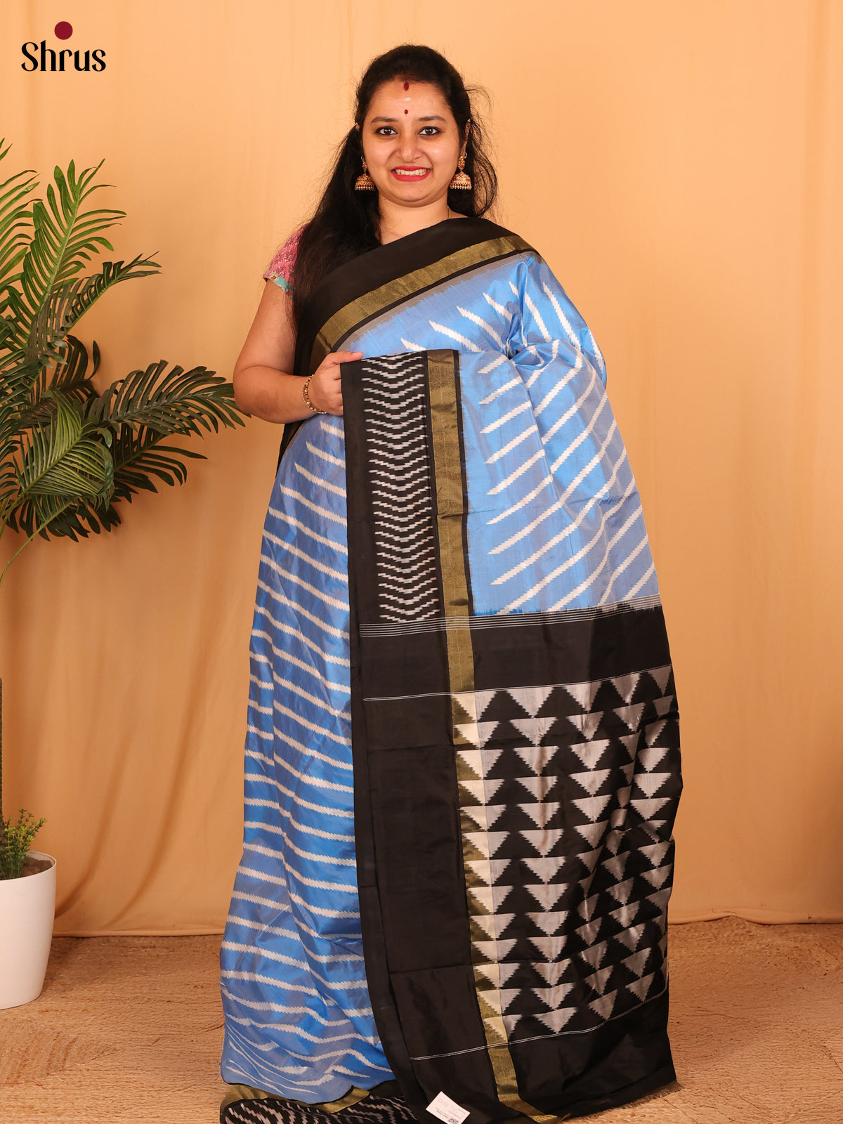 DAS01032 - Ikkat Silk Saree