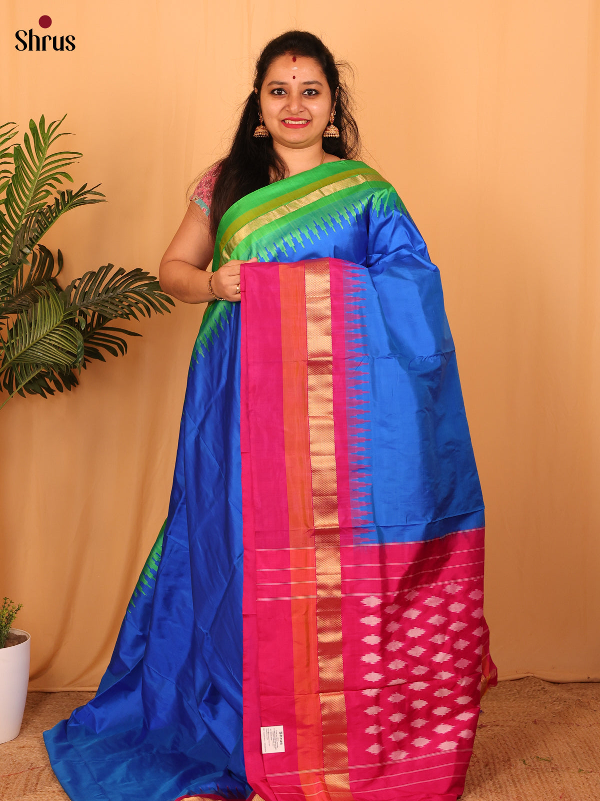 DAS01036 - Ikkat Silk Saree