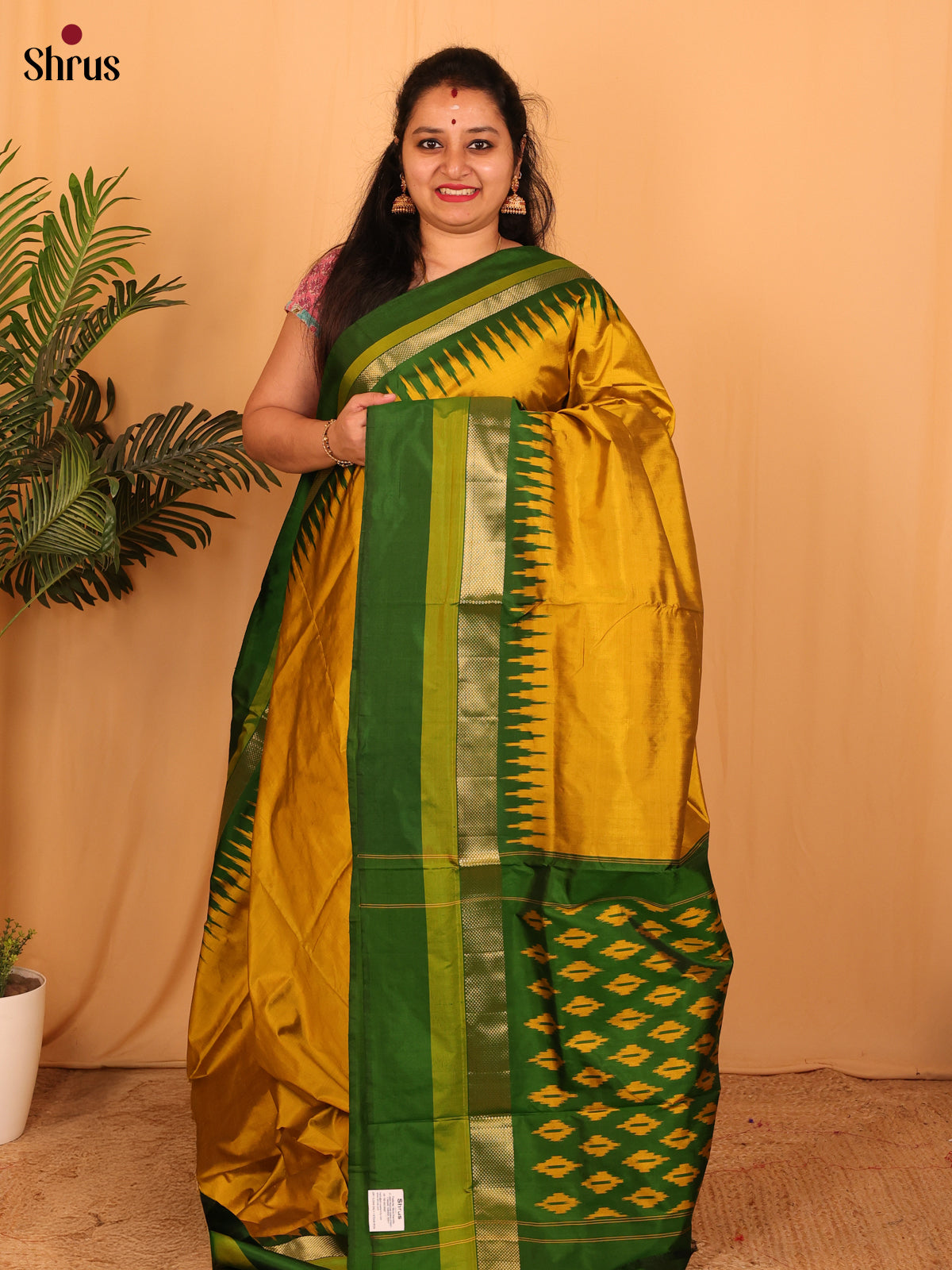 DAS01039 - Ikkat Silk Saree