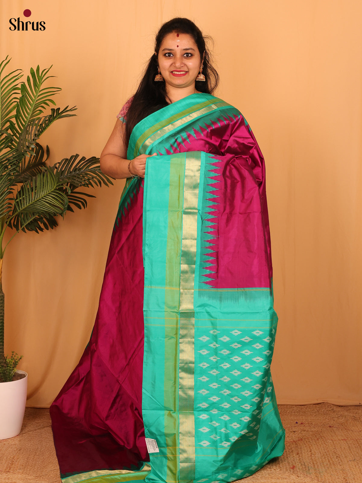 DAS01043 - Ikkat Silk Saree