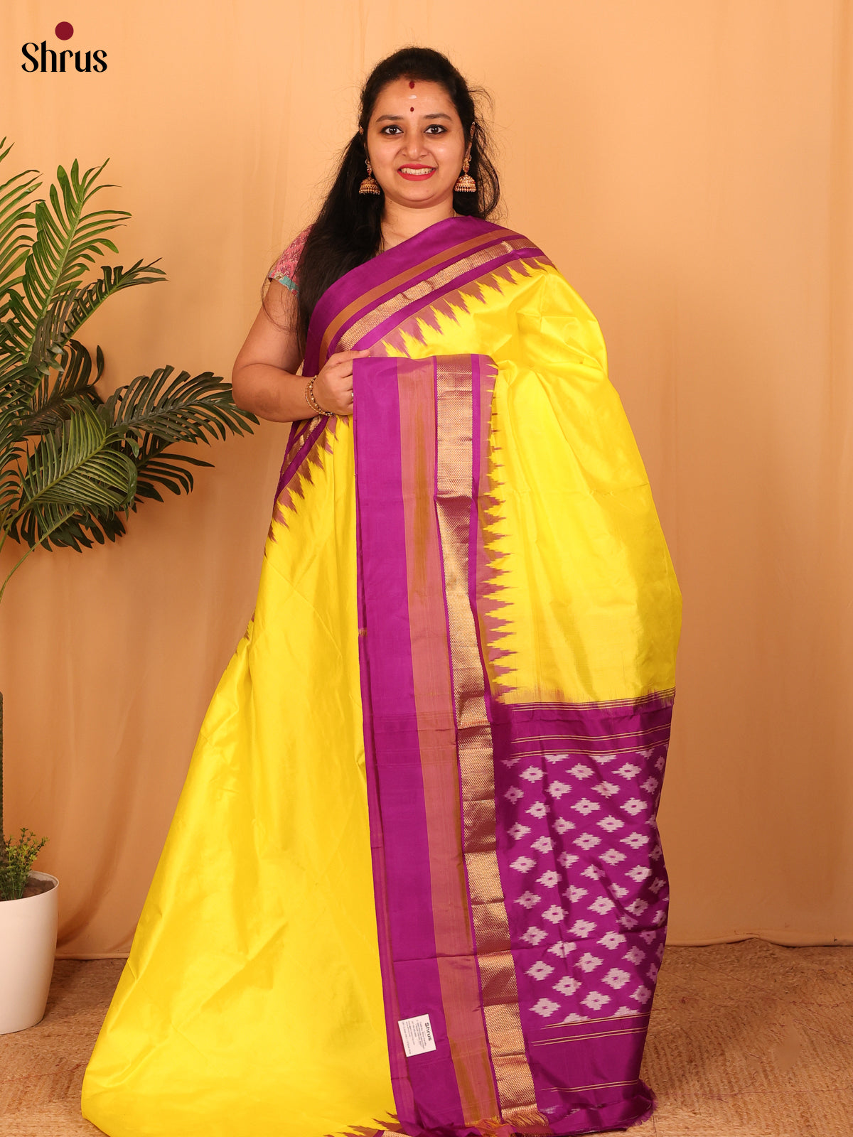 DAS01051 - Ikkat Silk Saree