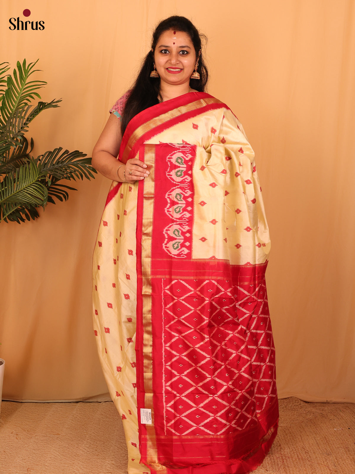 DAS01059 - Ikkat Silk Saree