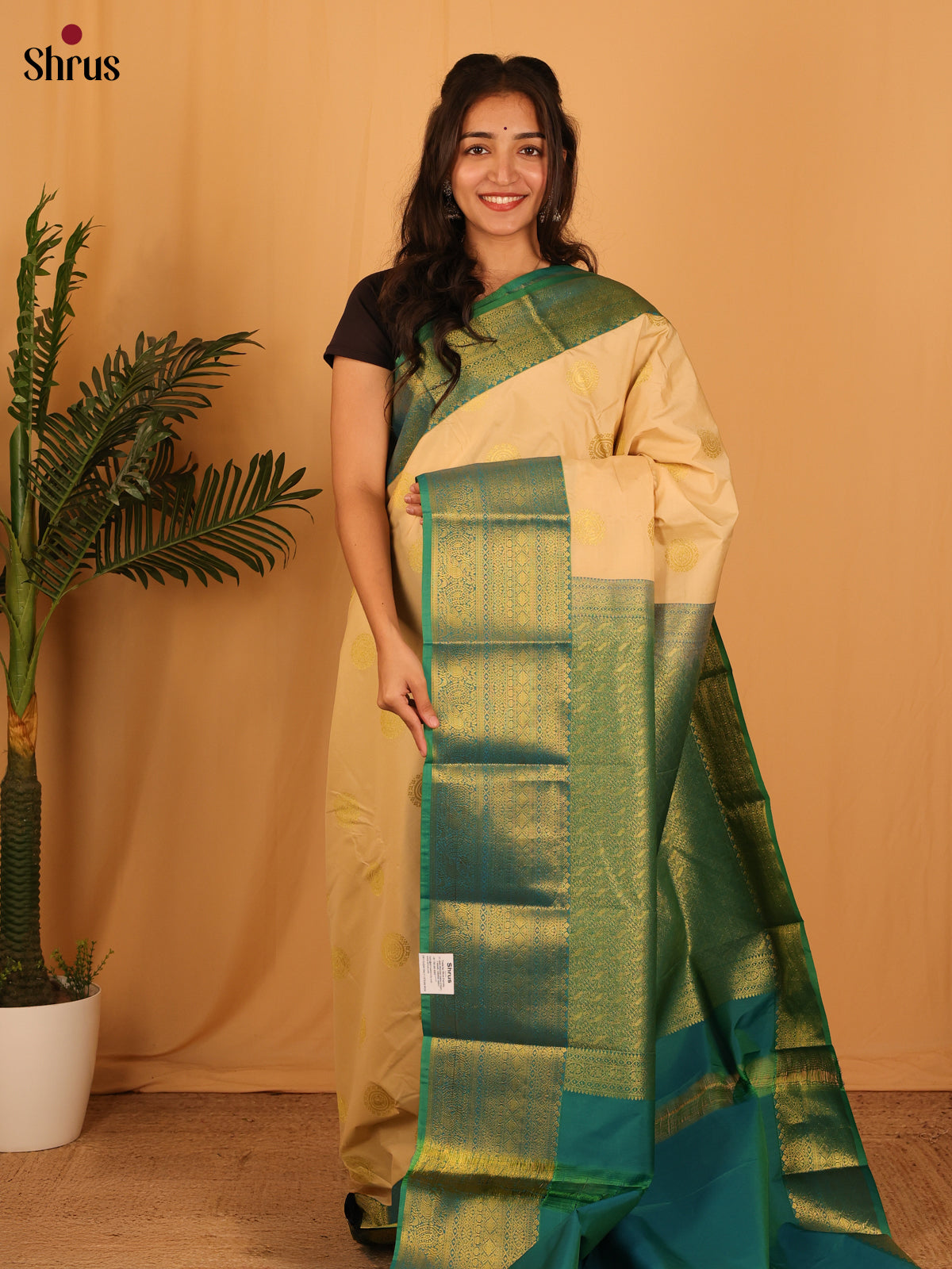 Beige & Green- Bangalori silk Saree