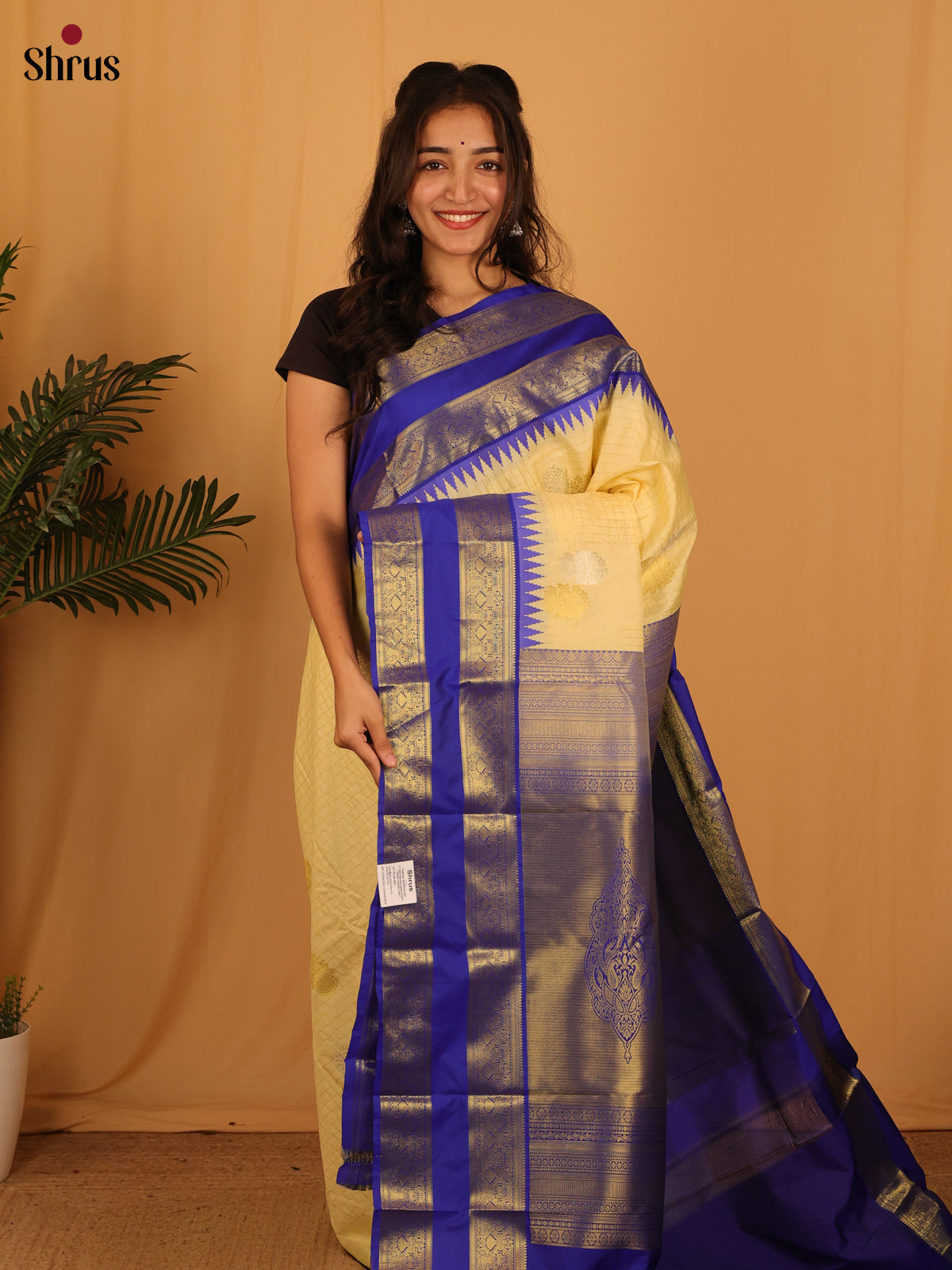 Beige & Blue - Bangalori silk Saree