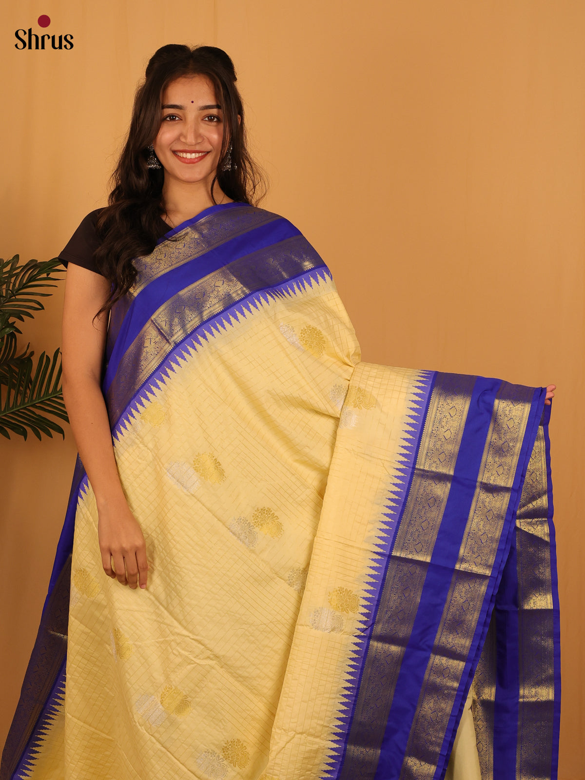 Beige & Blue - Bangalori silk Saree