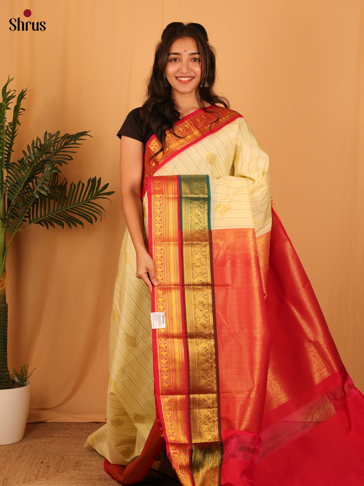 Cream  & Maroon  - Bangalori silk Saree - Shop on Shrus.com