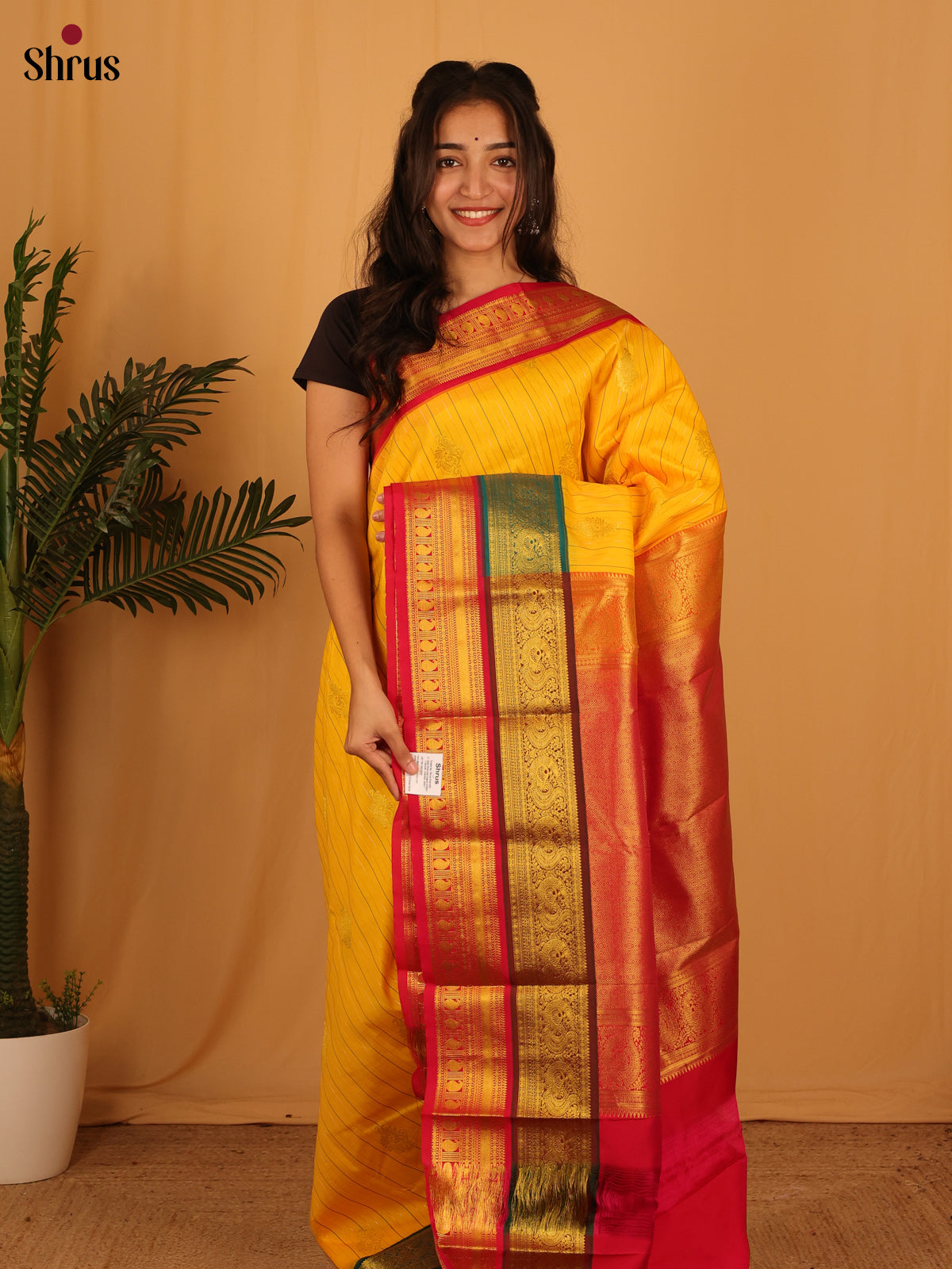 Yellow & Red - Bangalori silk Saree