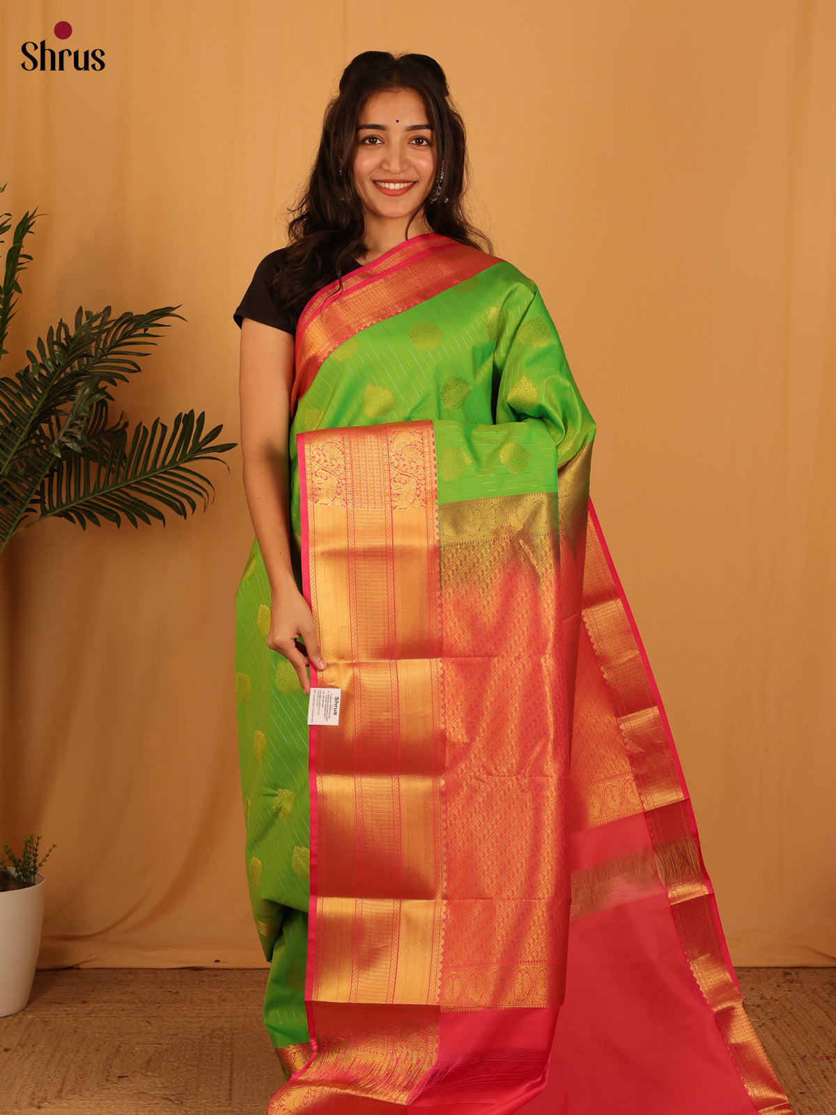 Parrot Green & Pink - Bangalori silk Saree