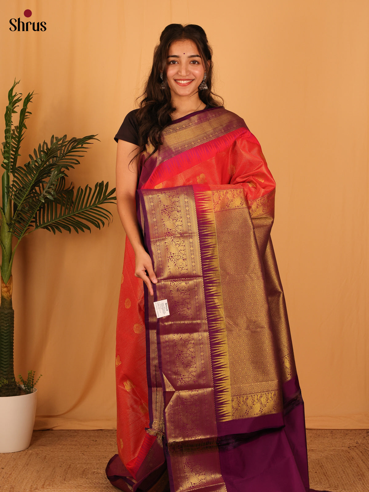 Red & Violet- Bangalori silk Saree - Shop on Shrus.com