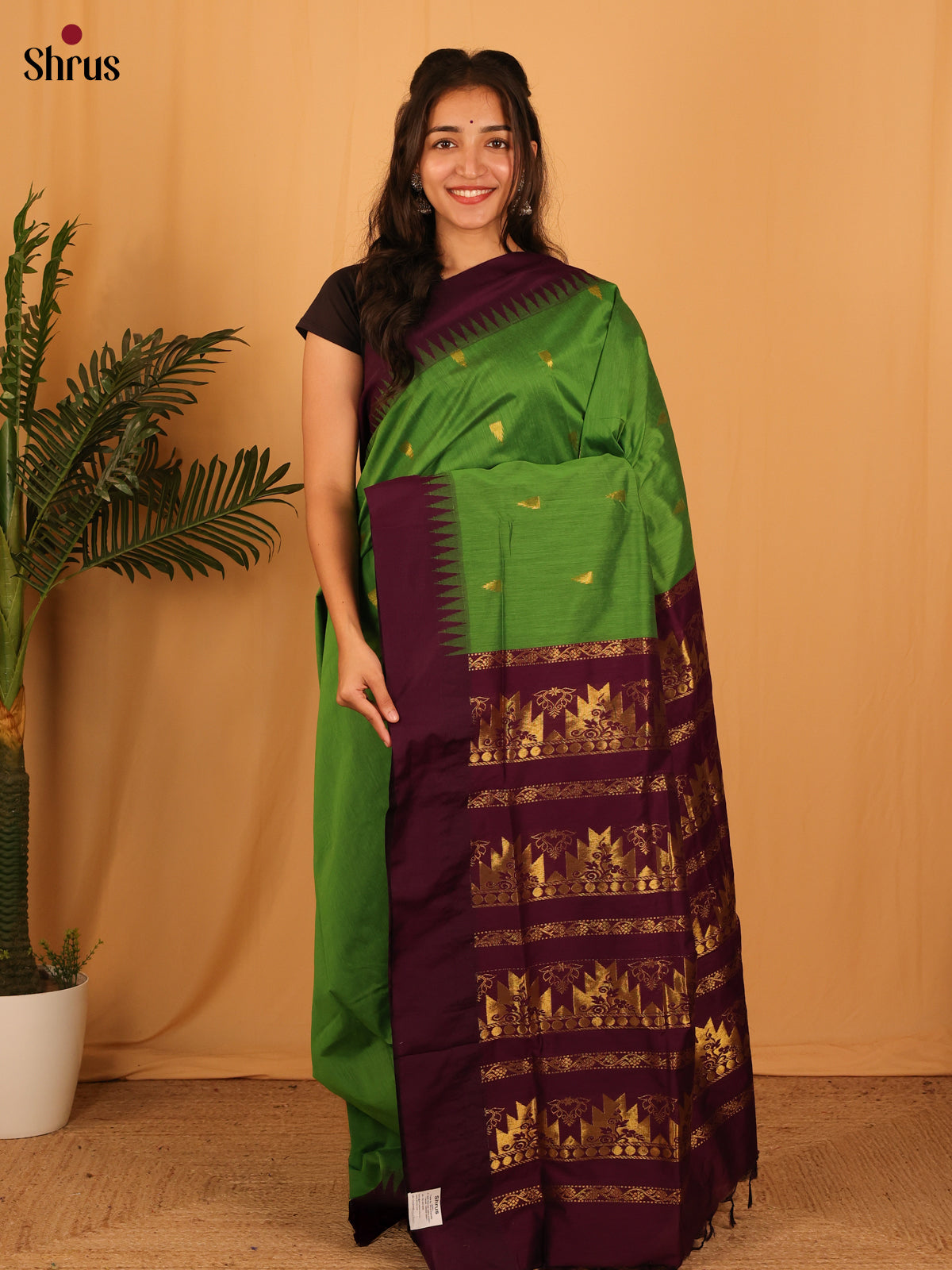 Green & Maroon - Kalyani Cotton Saree - Shop on Shrus.com