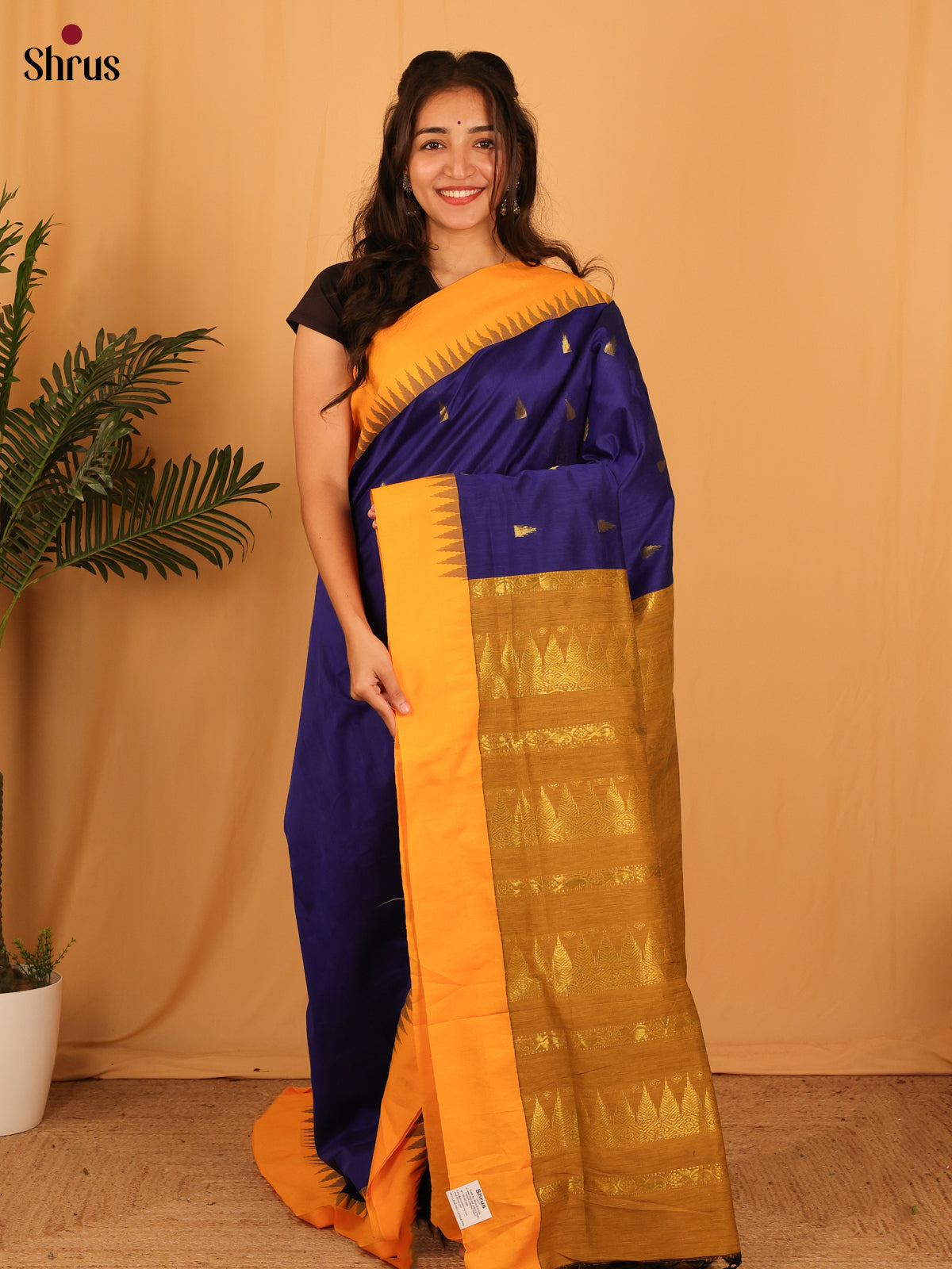 Violet & Mustard- Kalyani Cotton Saree