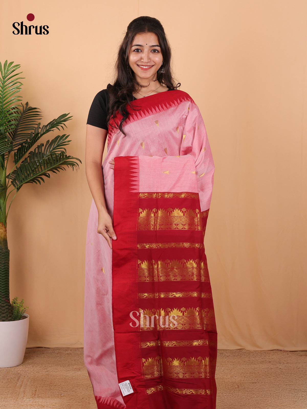 Pink & Red - Kalyani Cotton Saree - Shop on Shrus.com
