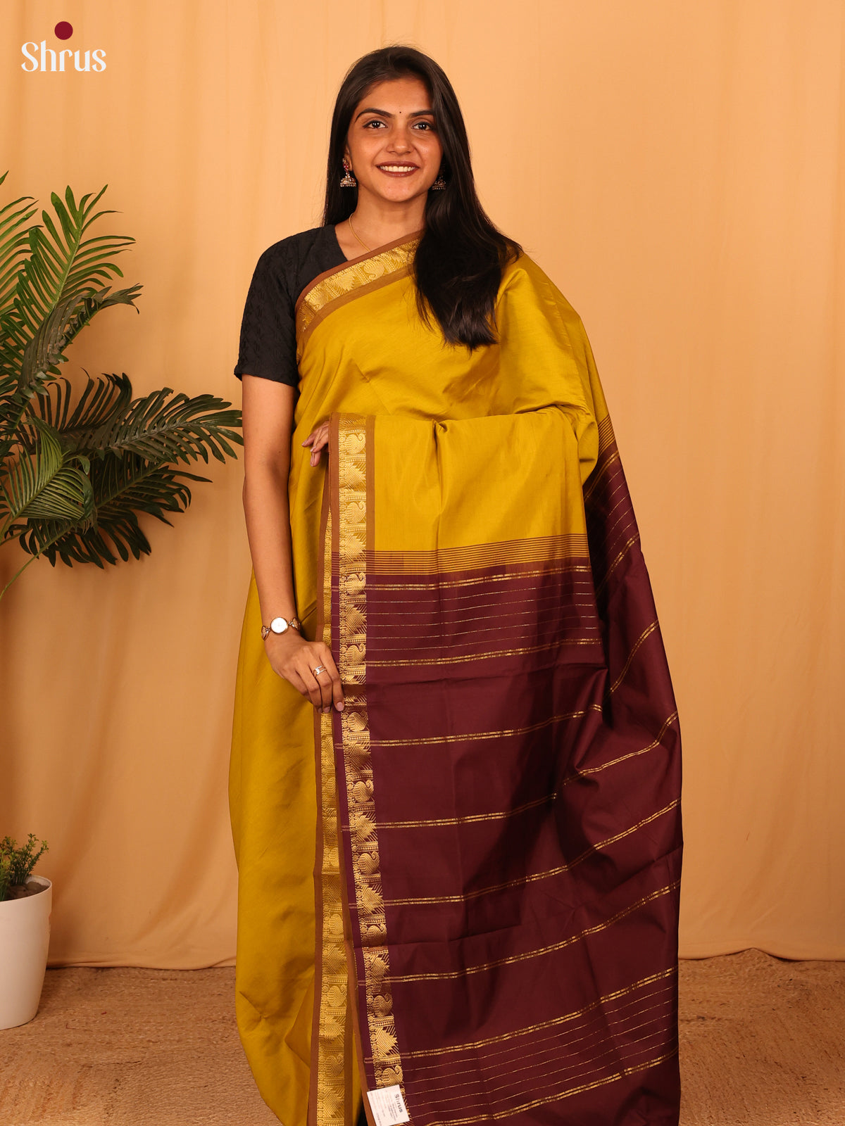 Mustard & Brown - Silkcotton-halfpure Saree