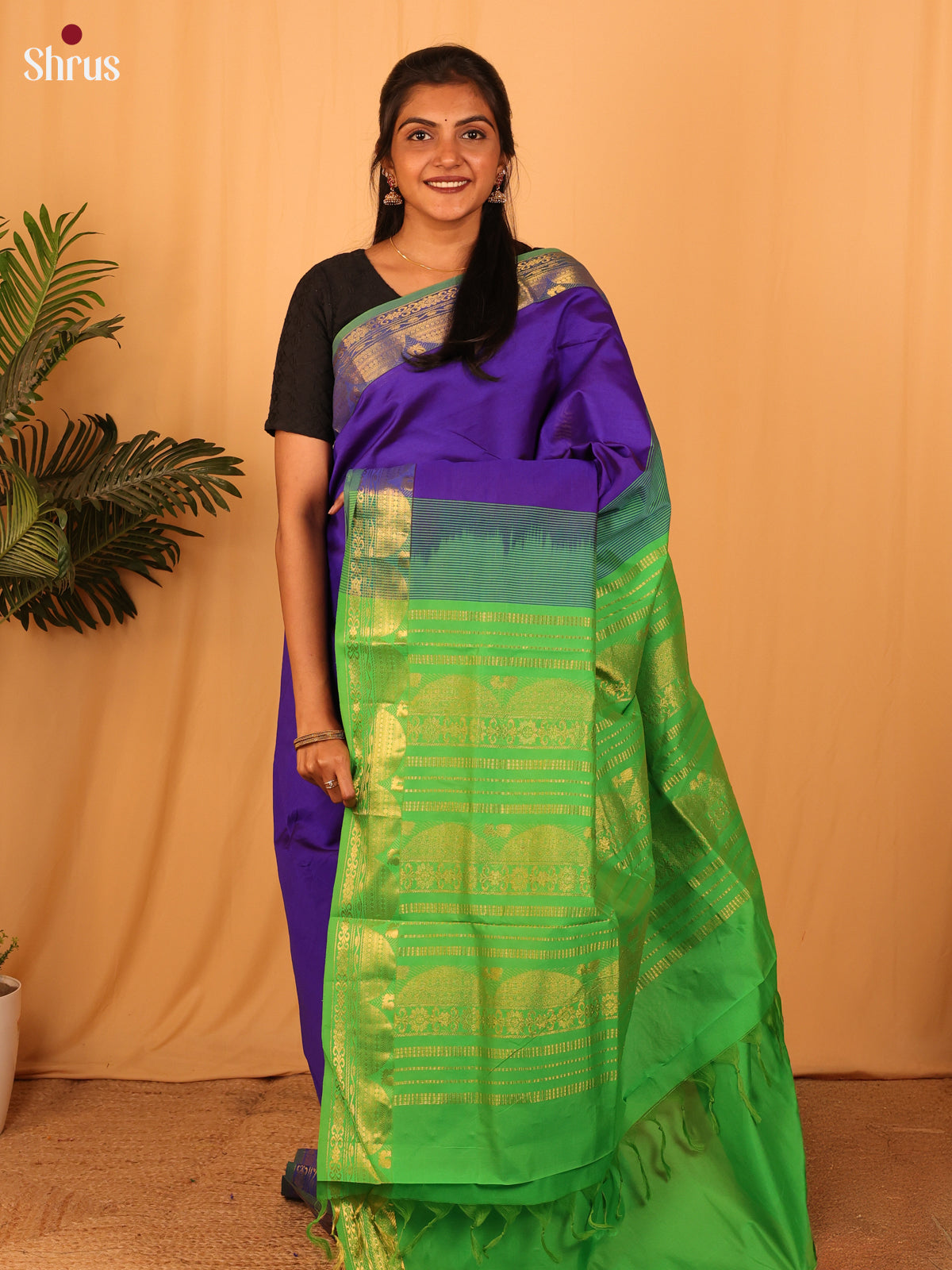 Violet & Green - Silkcotton-halfpure Saree