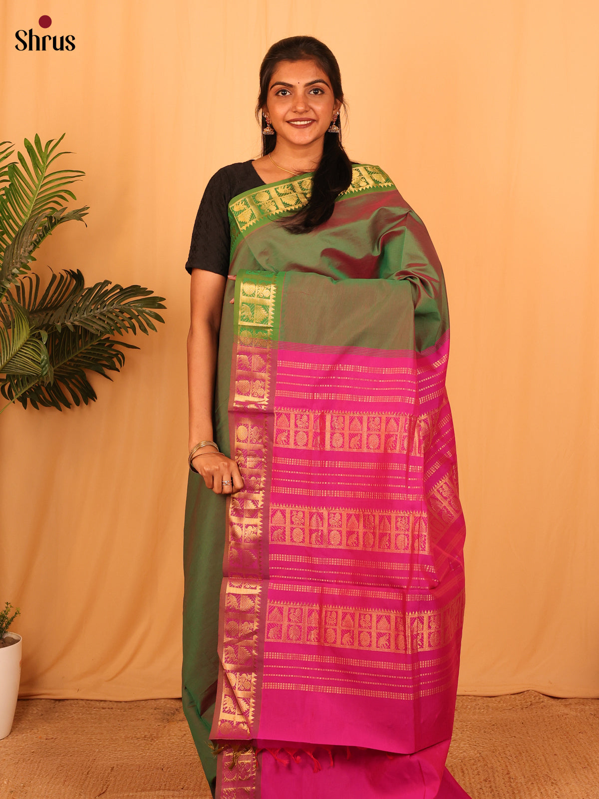 Green & Pink - Silkcotton-halfpure Saree - Shop on Shrus.com