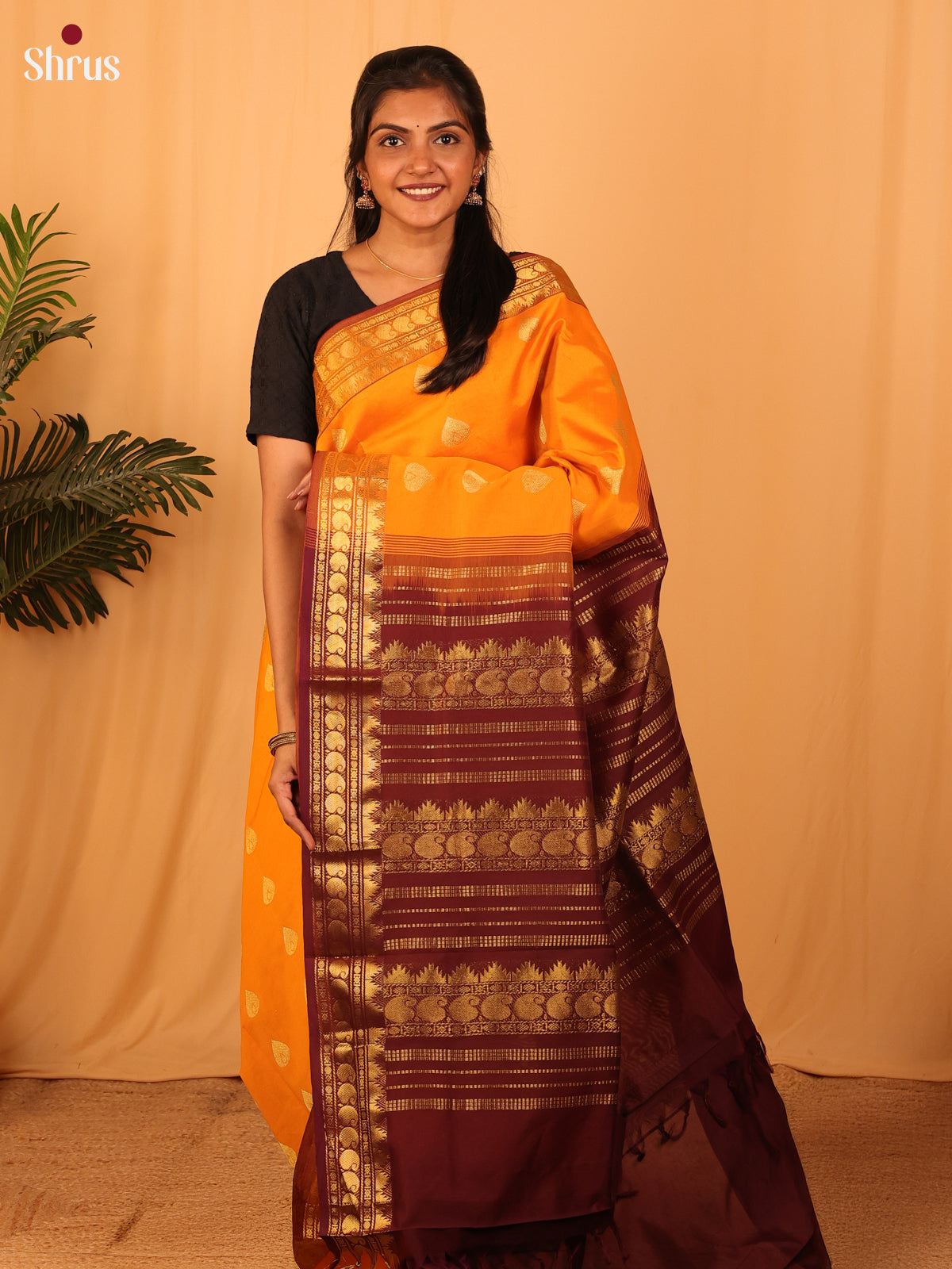 Orange & Brown - Silkcotton-halfpure Saree