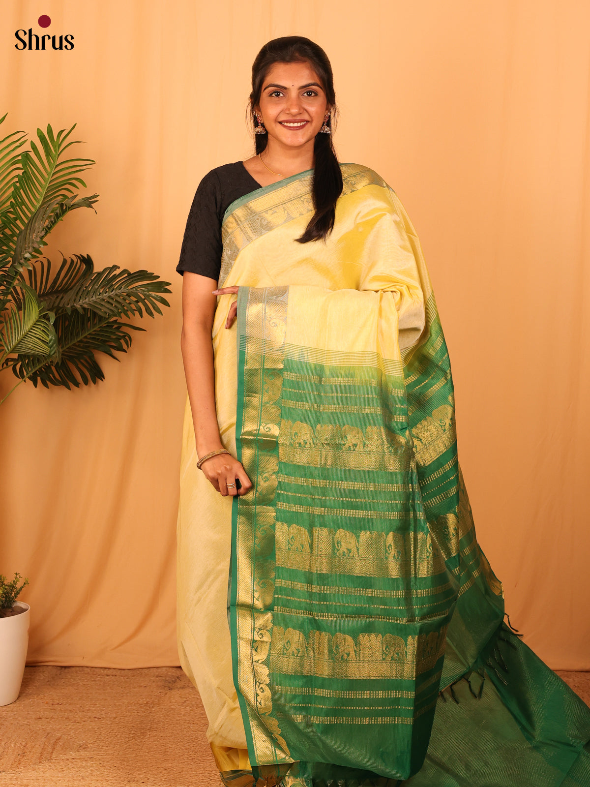 Lite Yellow & Green- Silkcotton-halfpure Saree - Shop on Shrus.com