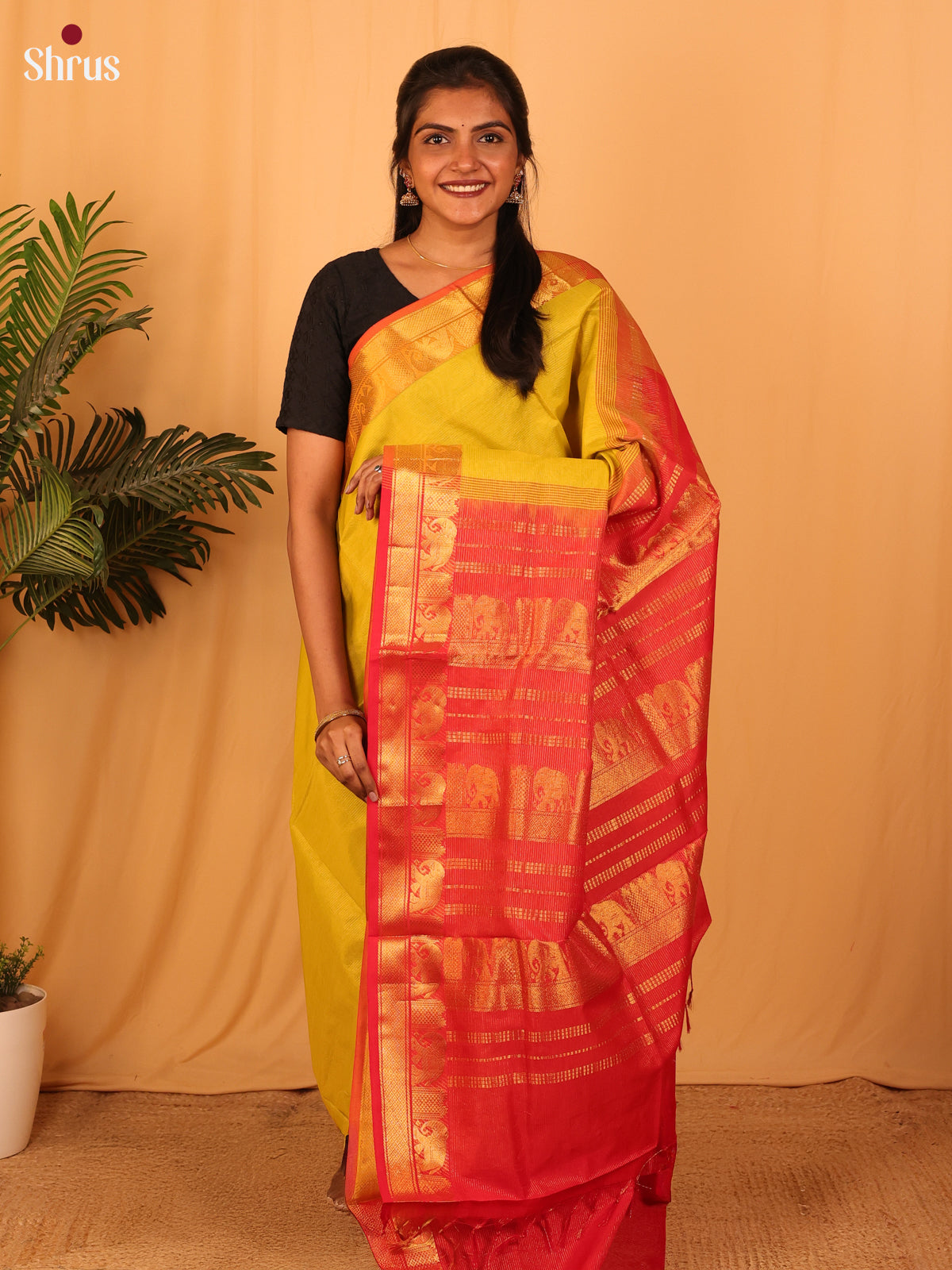 Mustard & Red - Silkcotton-halfpure Saree