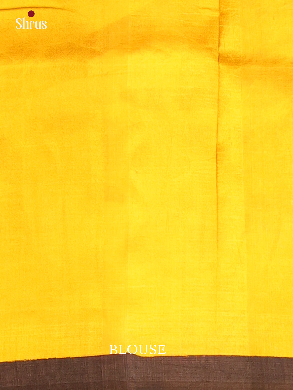 Brown & Yellow - Murshidabad Silk Saree - Shop on Shrus.com