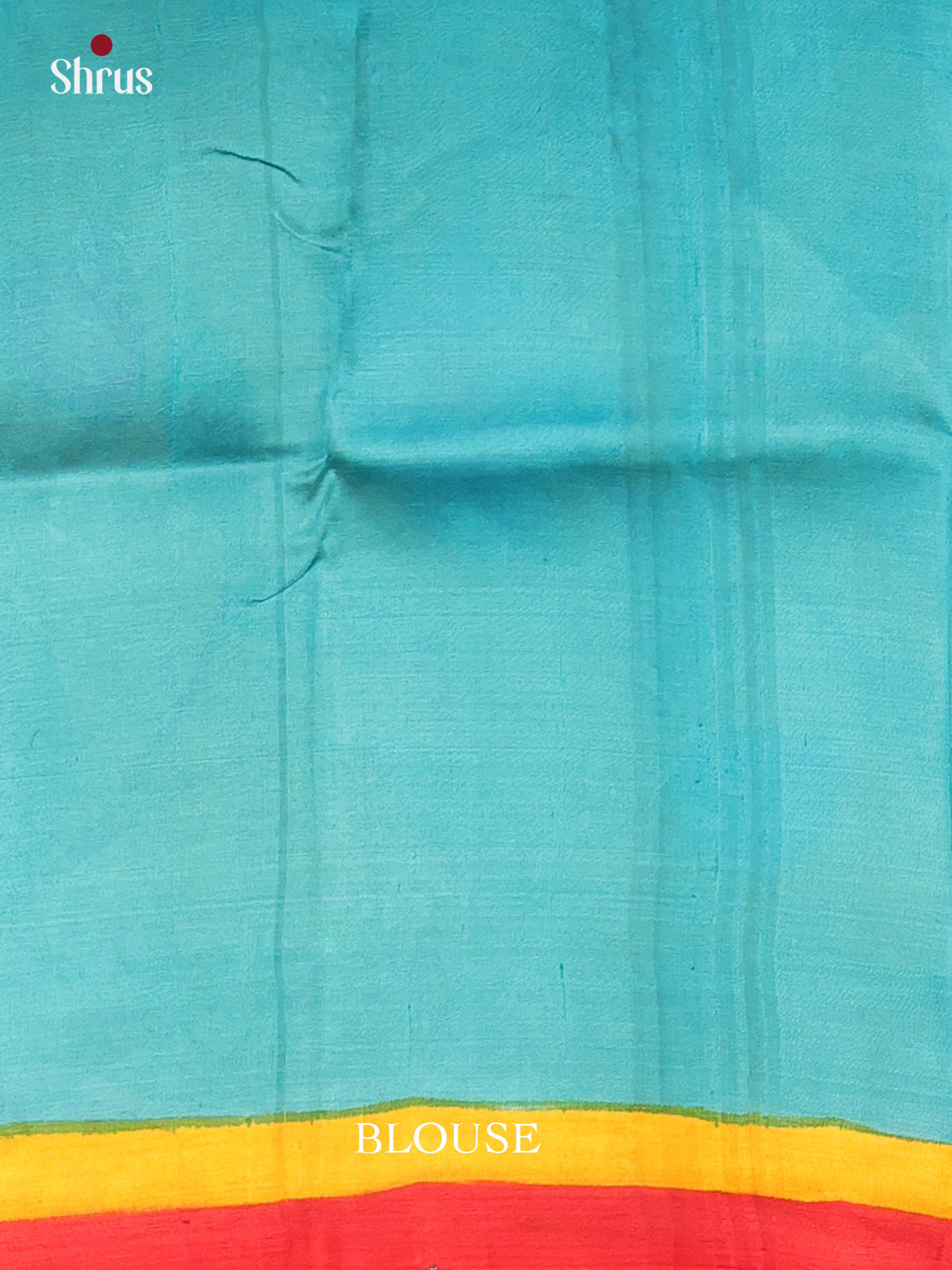 blue & Yellow  - Murshidabad Silk Saree