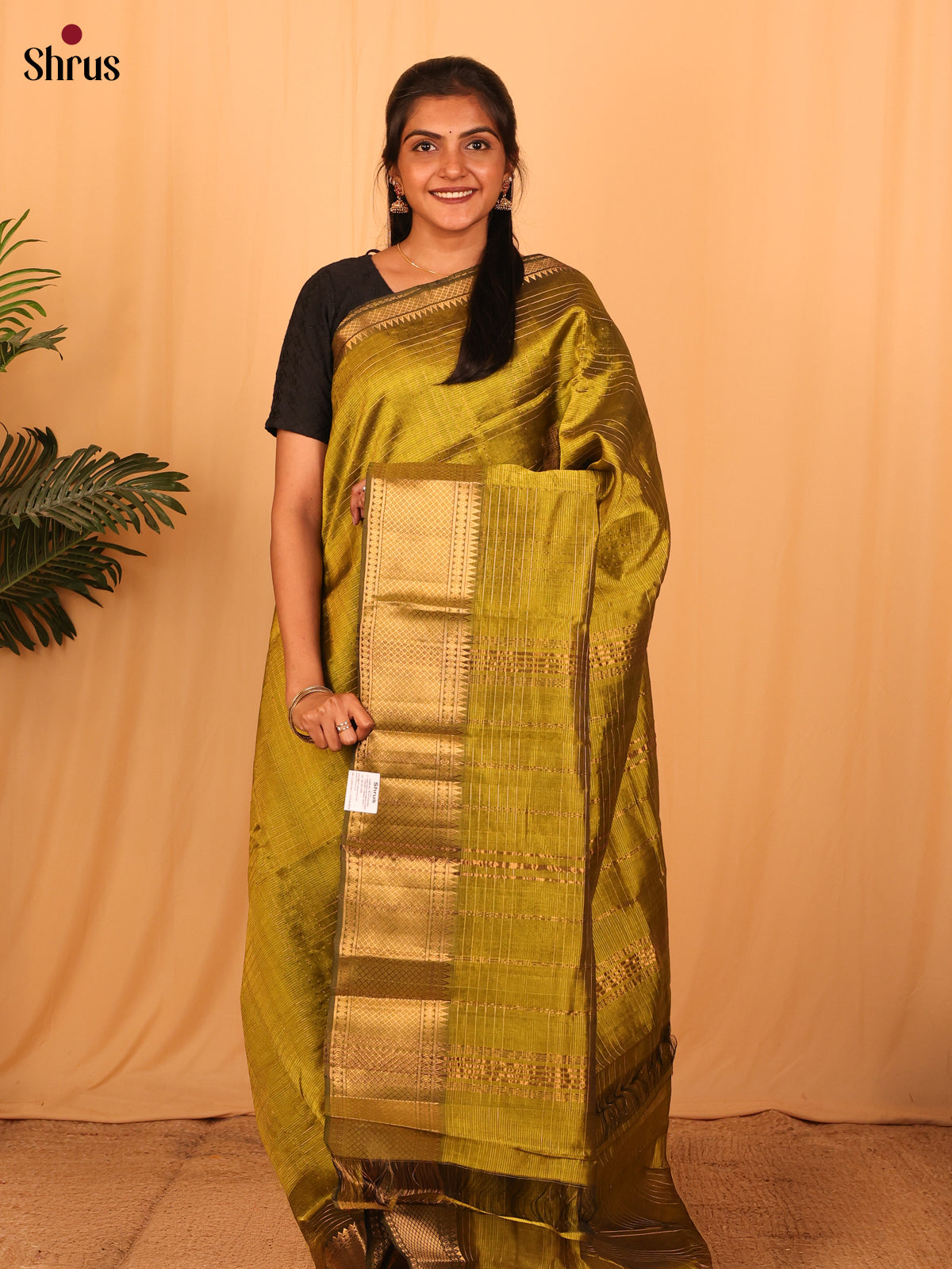 DAS06079 - Mangalagiri silkcotton Saree