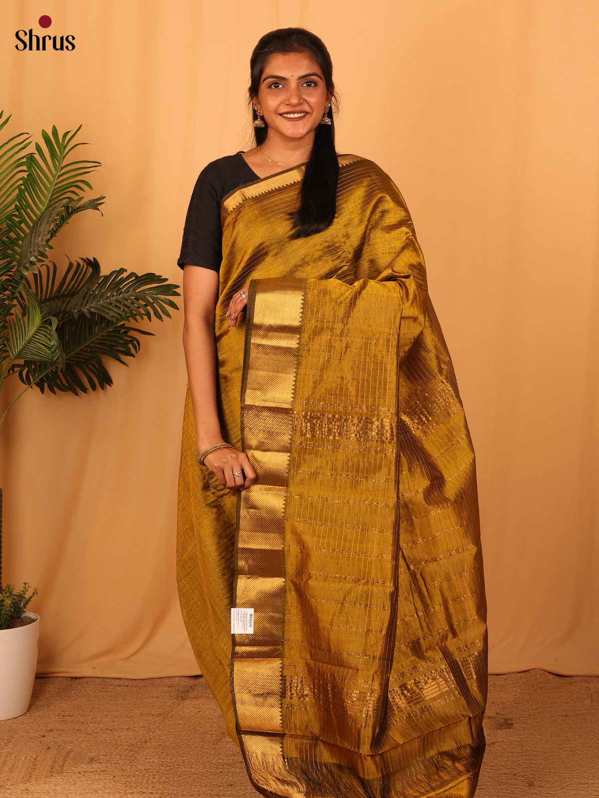 DAS06117 - Mangalagiri silkcotton Saree