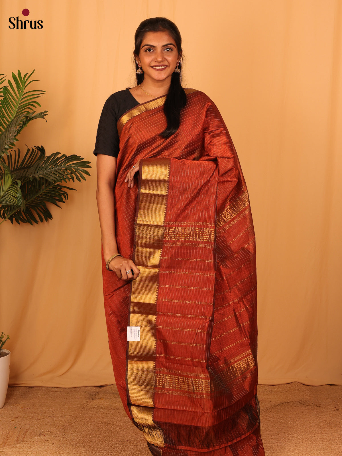 DAS06119 - Mangalagiri silkcotton Saree