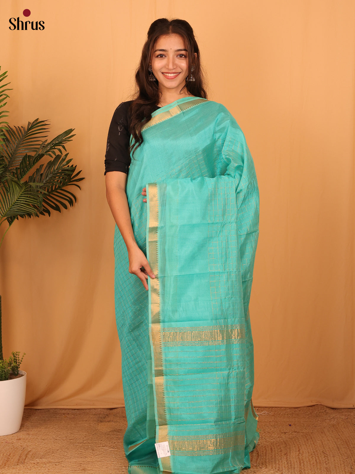 Aqua Blue(single Tone) - Mangalagiri silkcotton Saree