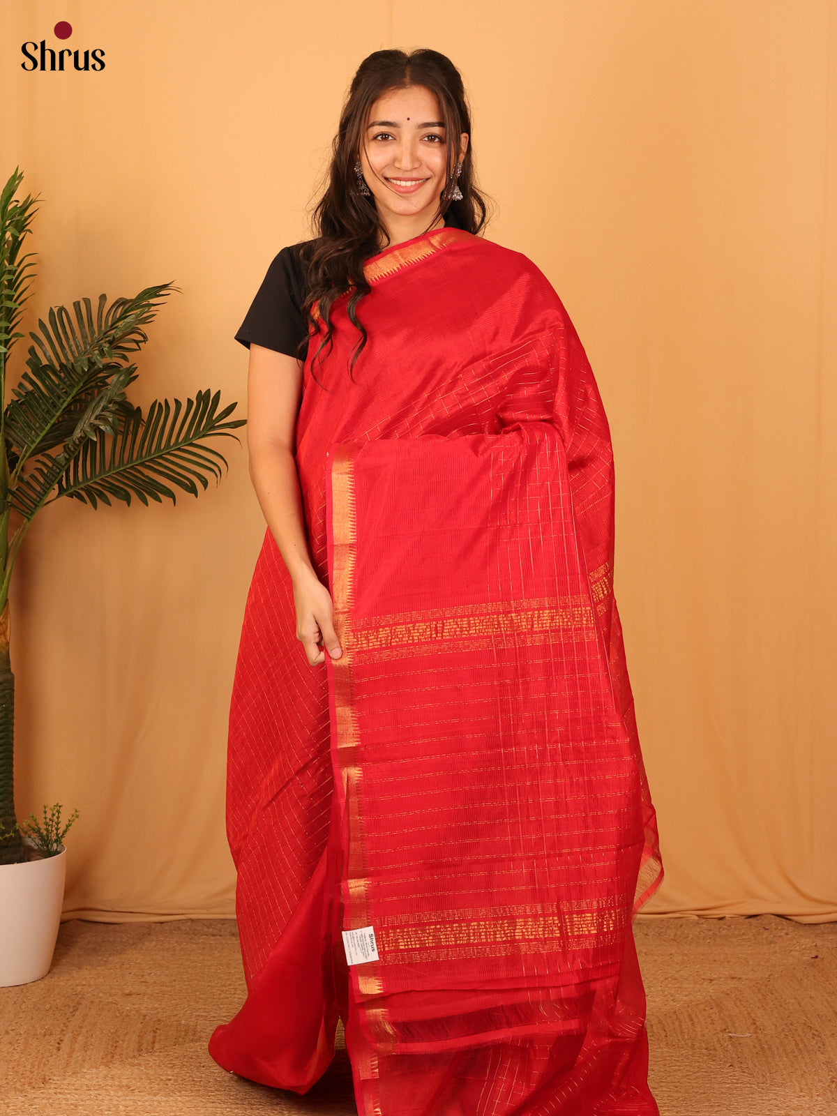 DAS06137 - Mangalagiri silkcotton Saree