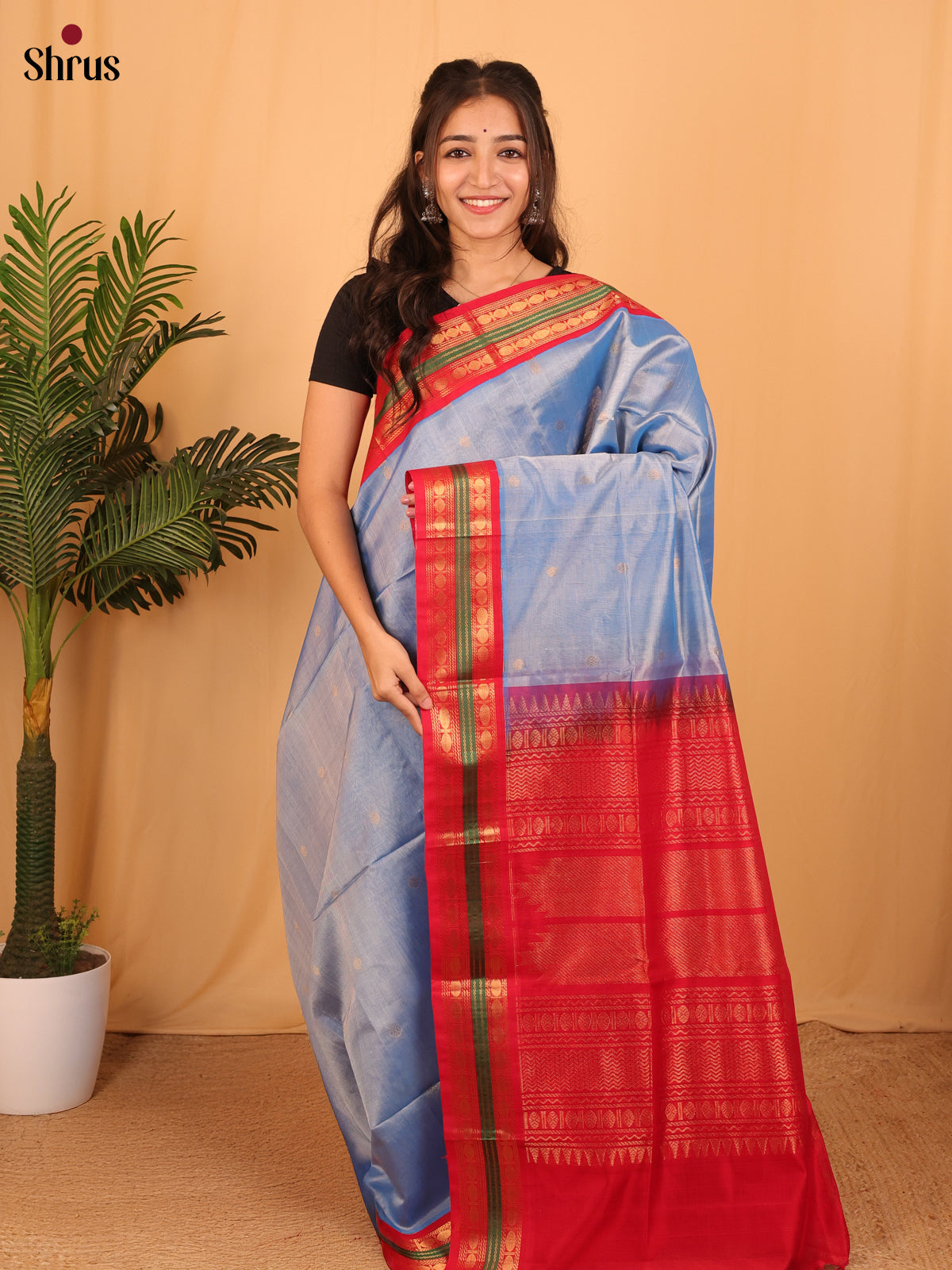 Blue & Red - Silk Cotton Saree