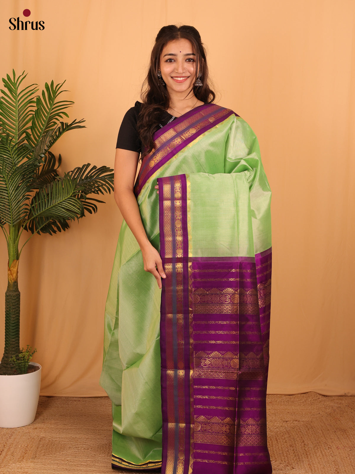 Pista Green & Violet - Silk Cotton Saree - Shop on Shrus.com